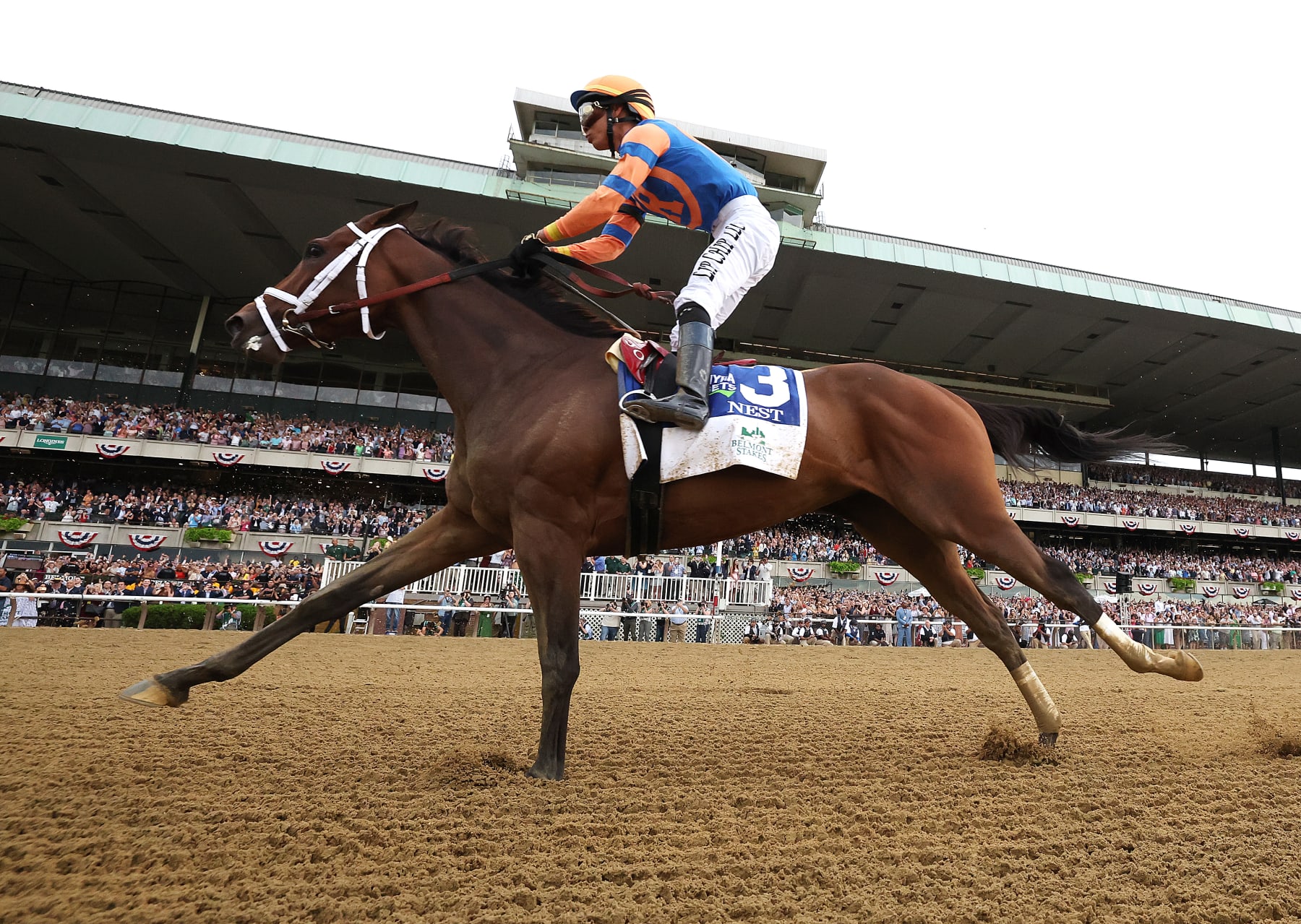 Belmont Stakes 2023 Horses And Trainers