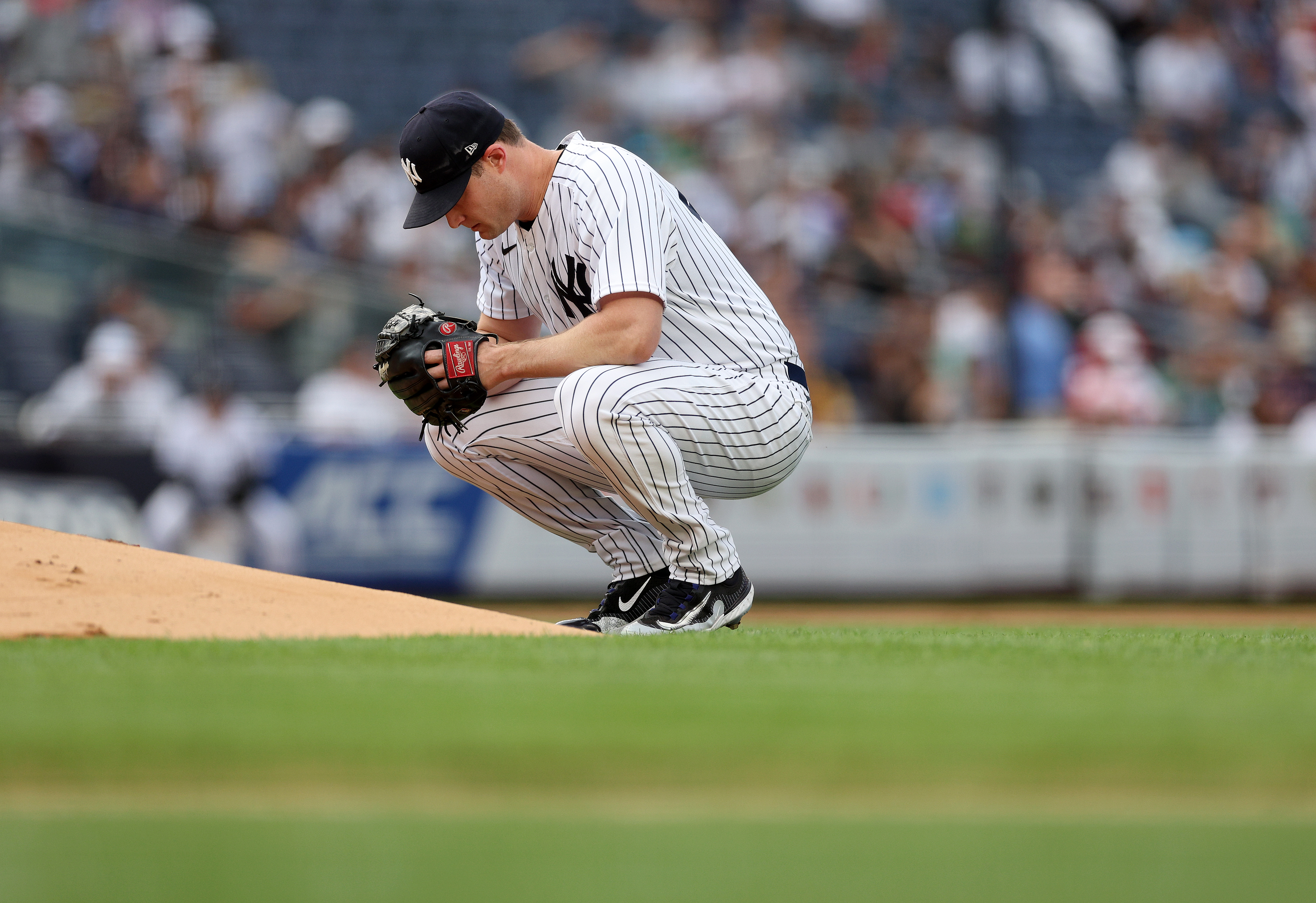 The Yankees first baseman has been a spark for the team - Pinstripe Alley