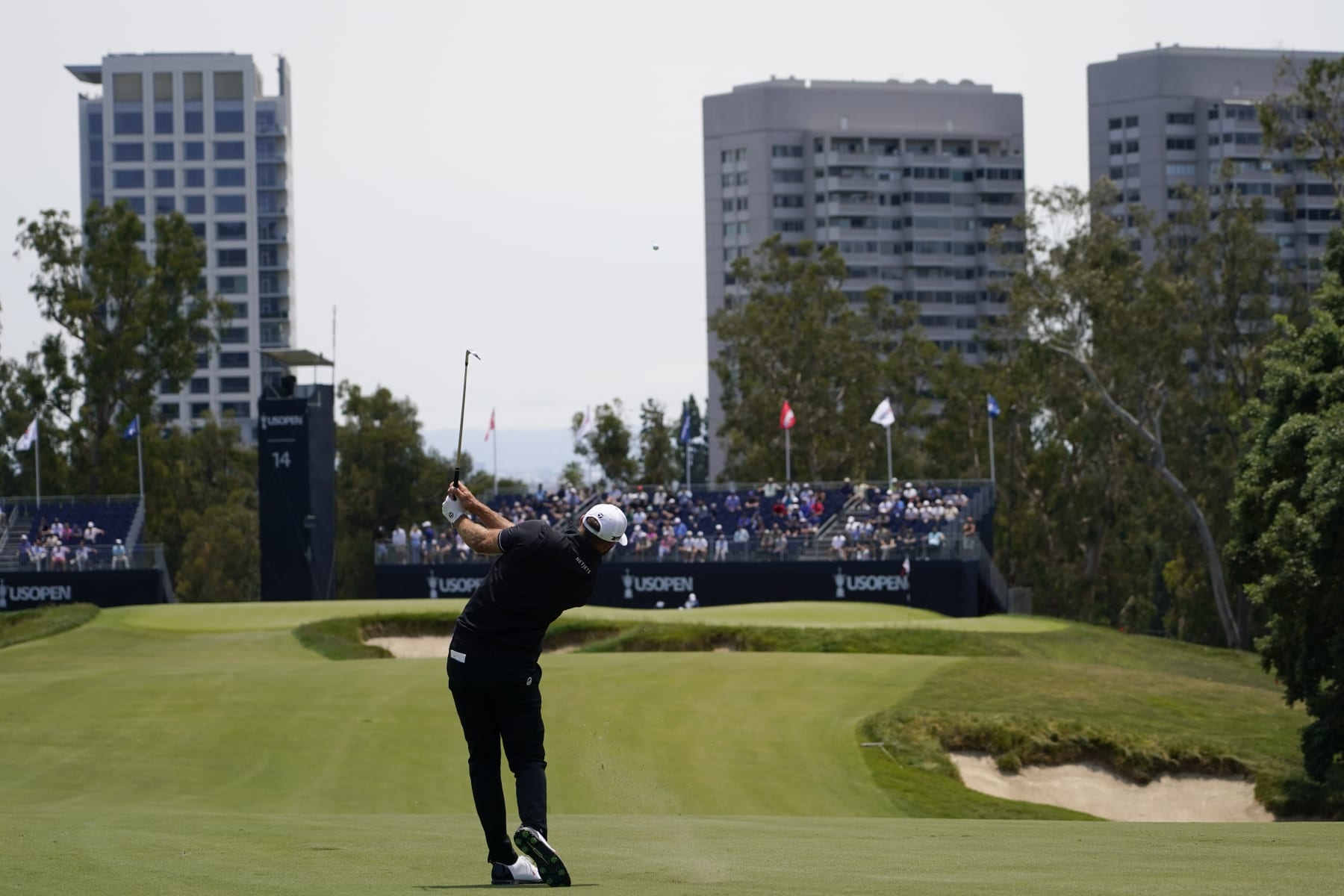 Dustin Johnson