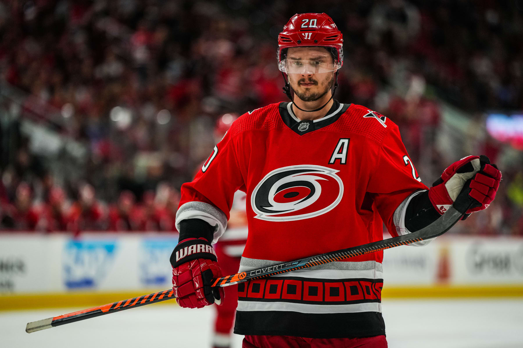 Buffalo Bill Seen On Video Cheering For The Carolina Hurricanes