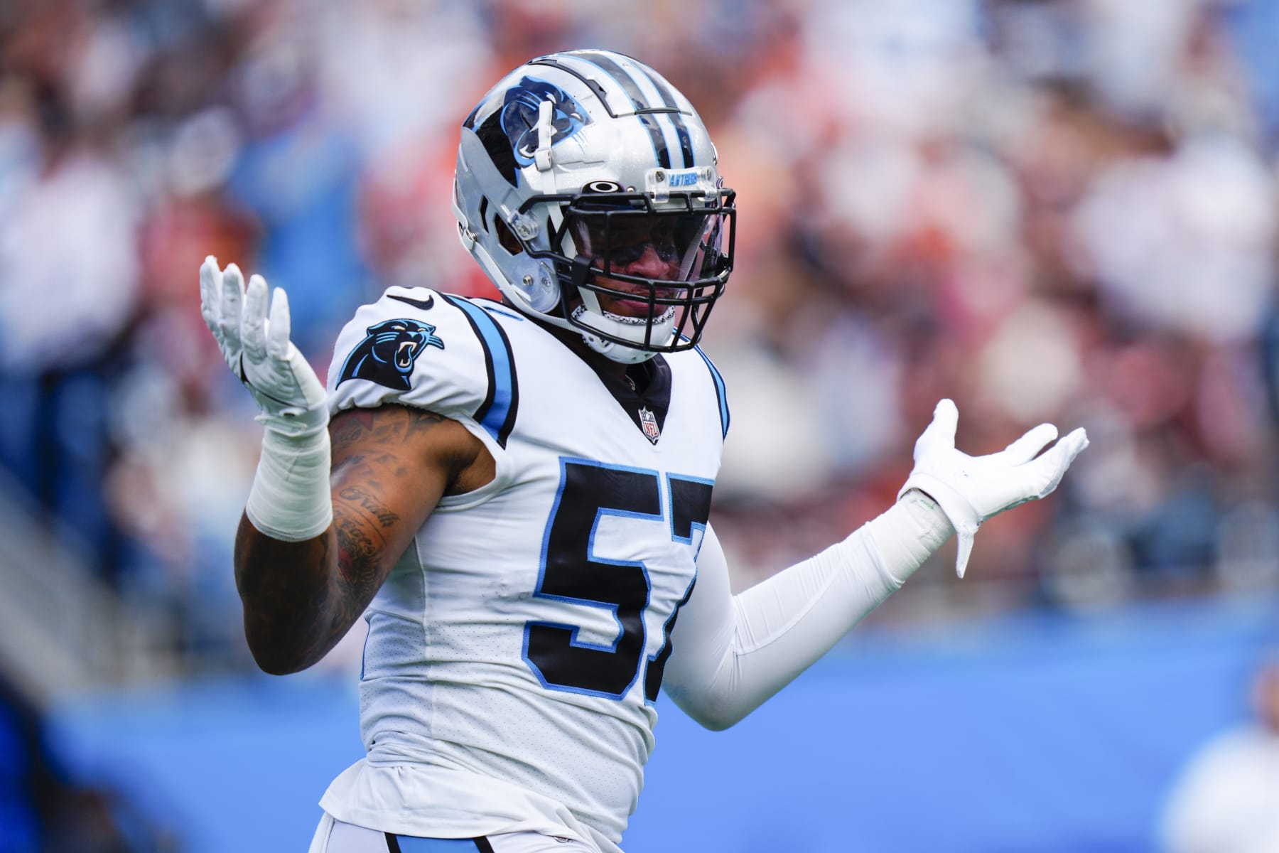 Carolina Panthers linebacker Damien Wilson watches during the