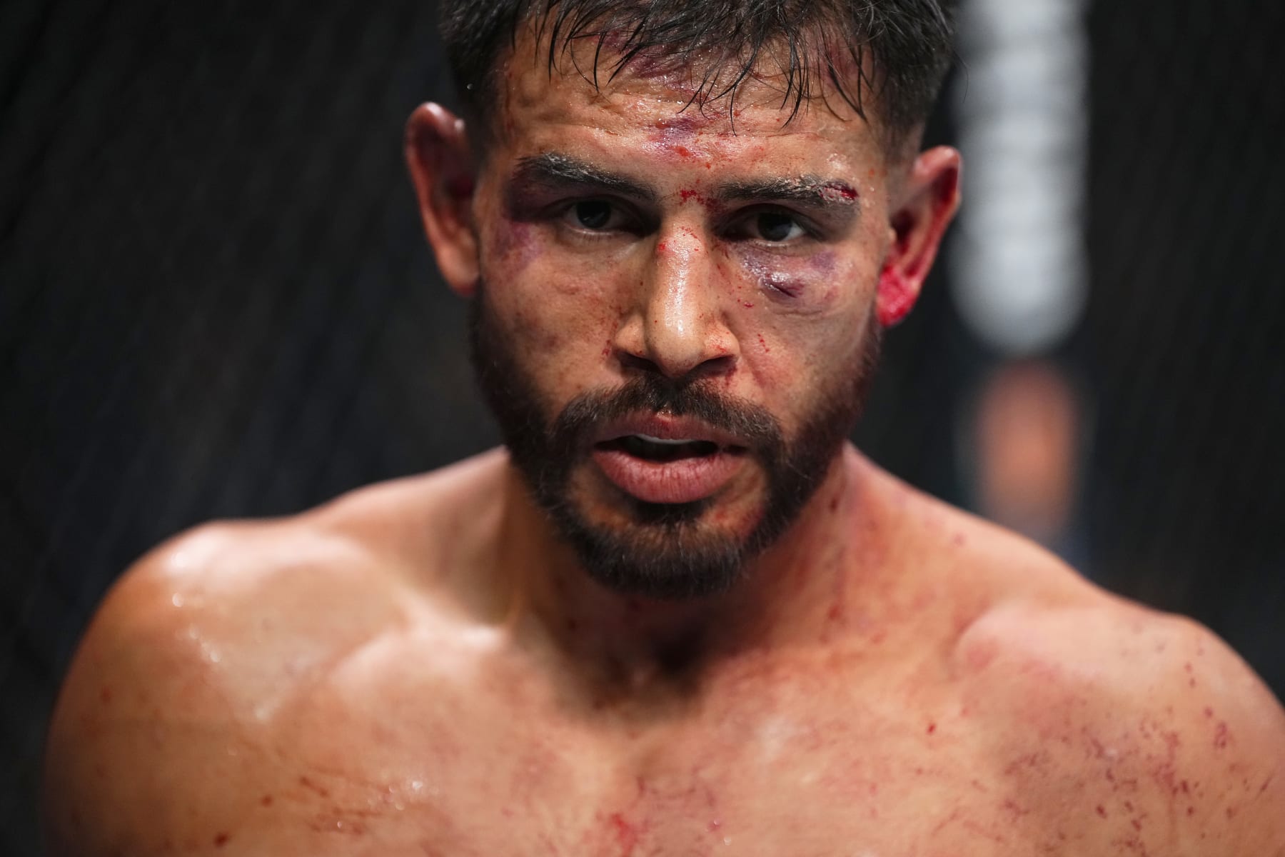 Yair Rodriguez