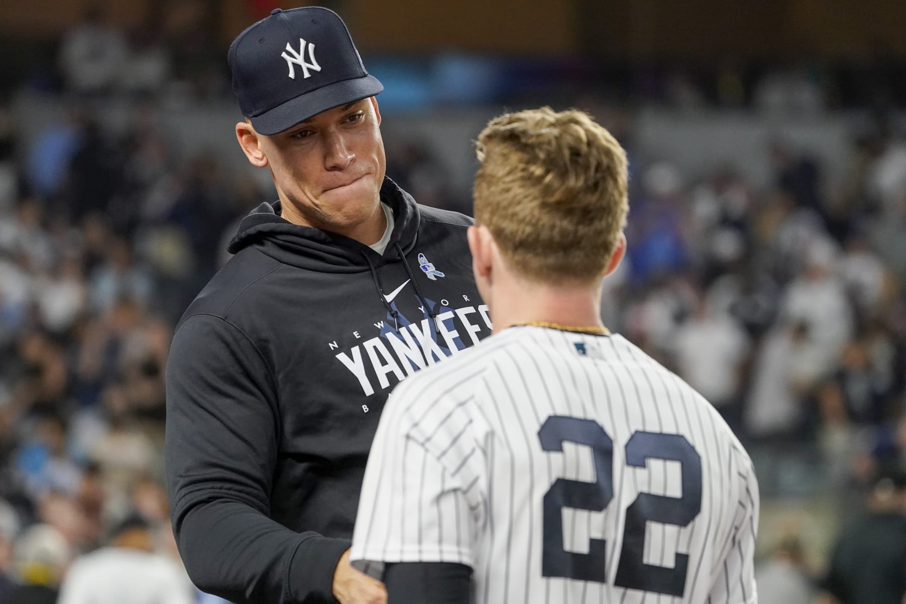 Yankees Fans Can't Believe How Much The Yankees Suck : r/orioles