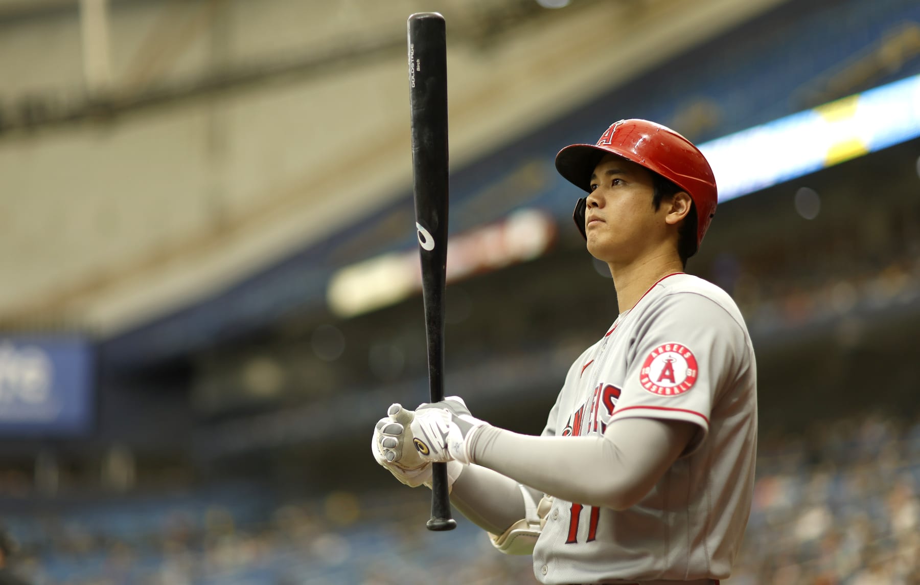 Rays at Angels: Shohei Ohtani scratched from start