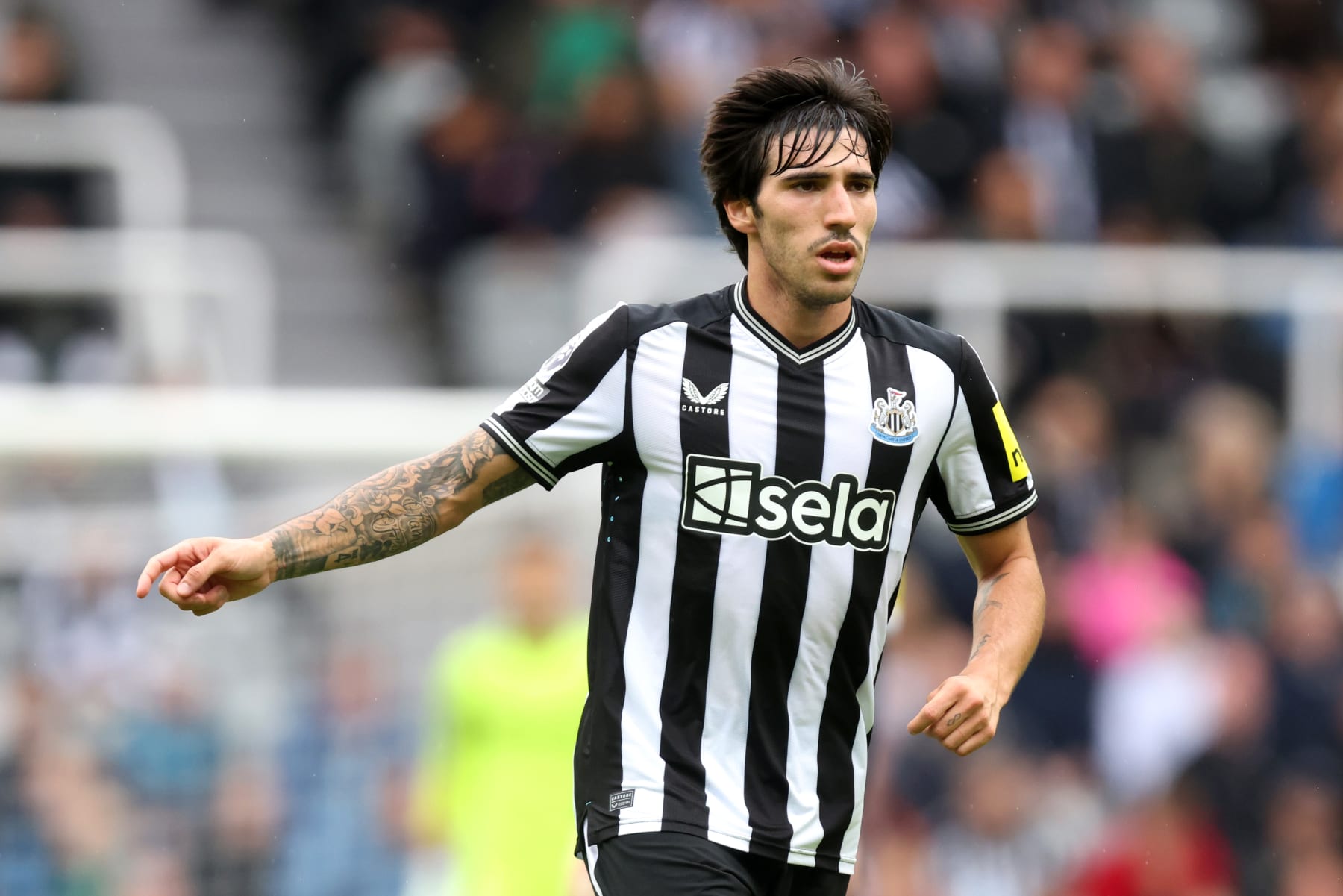 Sandro Tonali was one of Newcastle's big additions in the summer.
