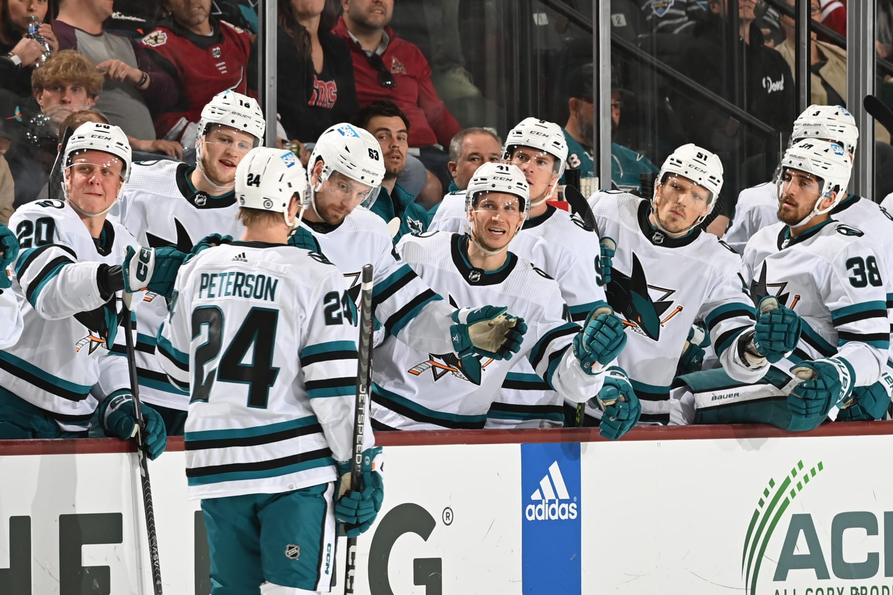 TEMPE, ARIZONA - APRIL 01: Jacob Peterson #24 of the San Jose Sharks celebrates with teammates on the bench after scoring a goal against the Arizona Coyotes during the first period at Mullett Arena on April 01, 2023 in Tempe, Arizona. (Photo by Norm Hall/NHLI via Getty Images)
