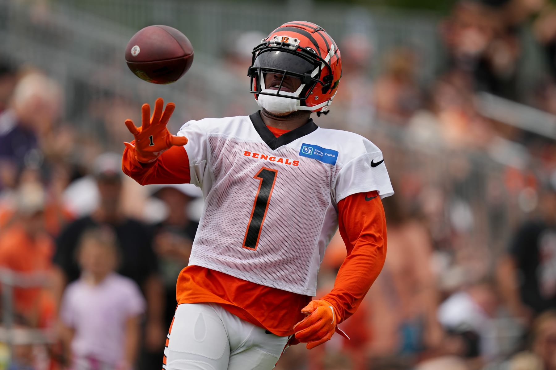 Tee Higgins wants to stay with Bengals for a long time; says Ja'Marr Chase  is top-5 WR - Cincy Jungle