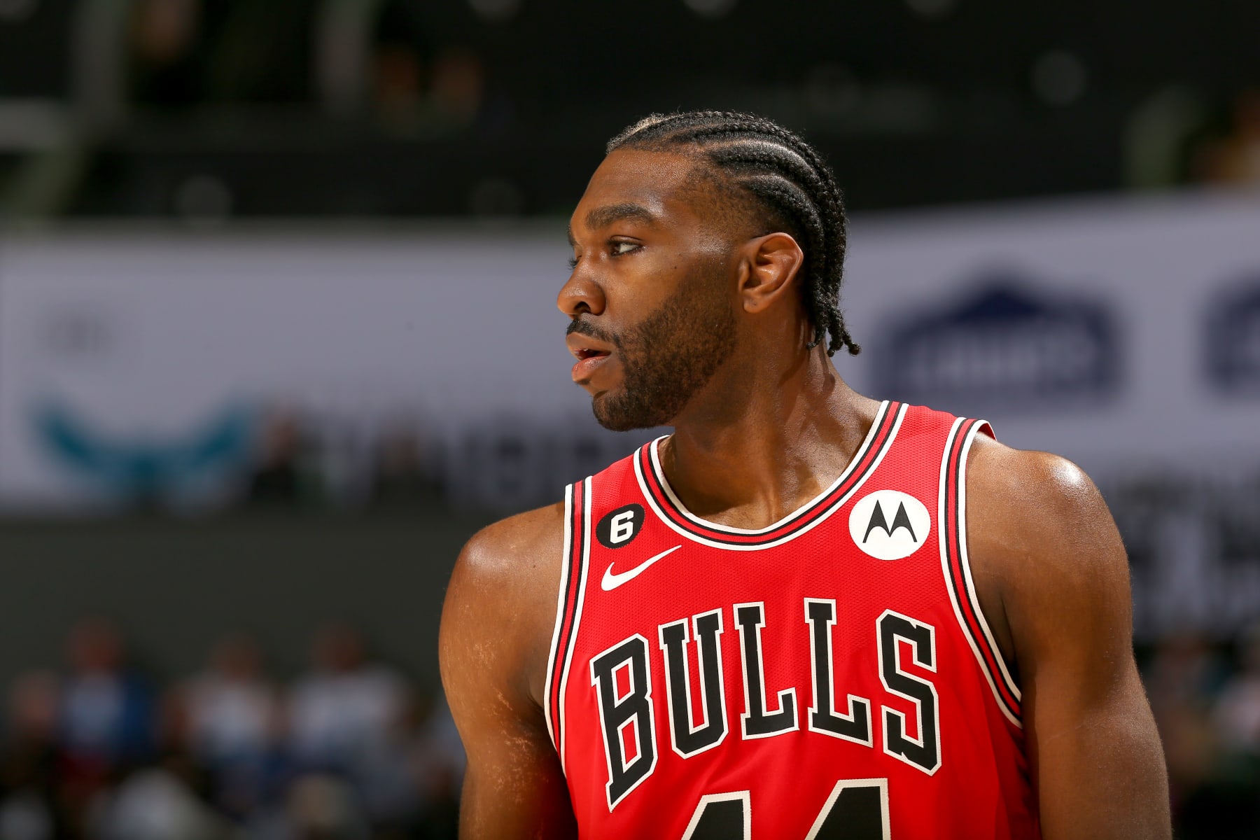 Chicago Bulls Roster - 2023-24 Season - NBA Players & Starters 