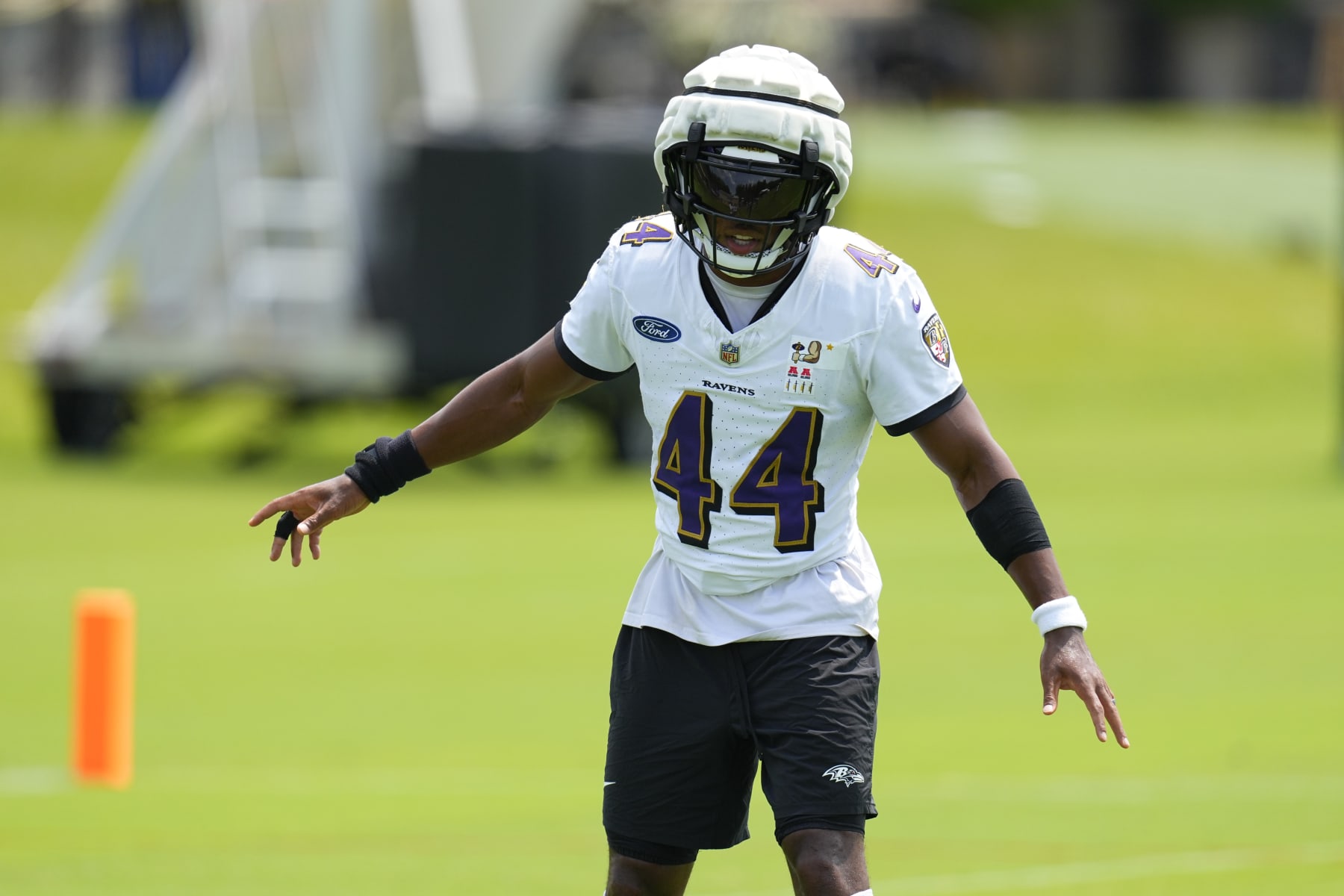 Questions Linger For The Ravens - Russell Street Report Ravens