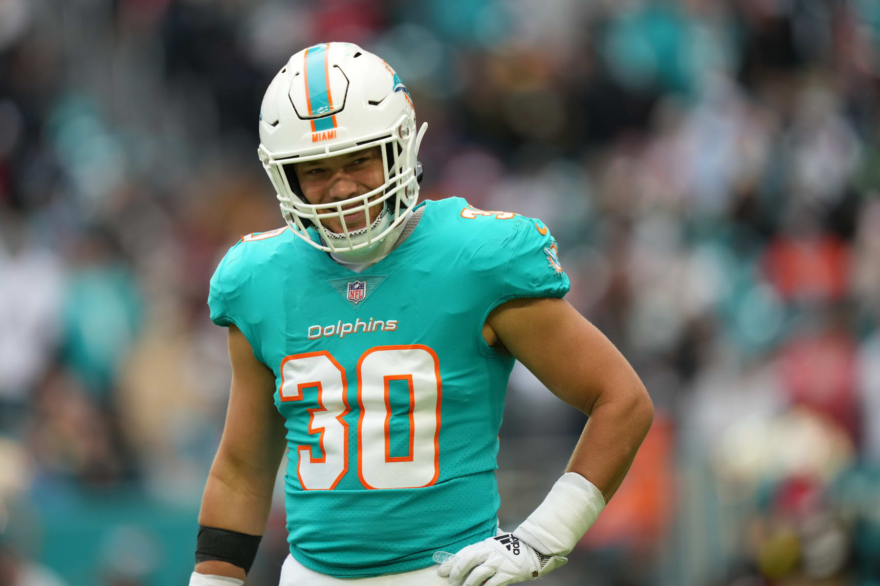 Alec Ingold of the Miami Dolphins is introduced prior to a game News  Photo - Getty Images