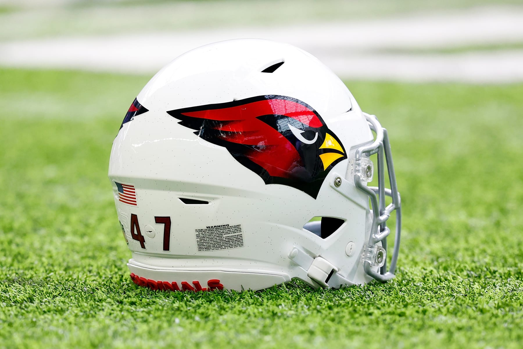 Hard Knocks': Arizona Cardinals linebacker coach Bill Davis