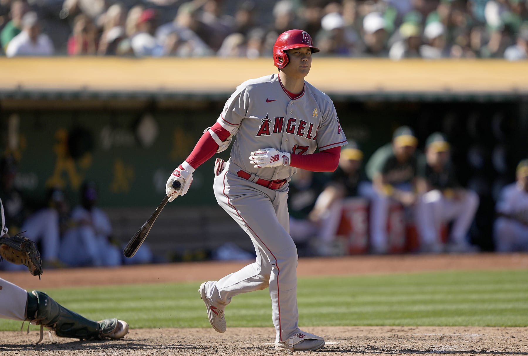 MLB: Angels slugger Shohei Ohtani scratched because of right oblique injury  - The Mainichi