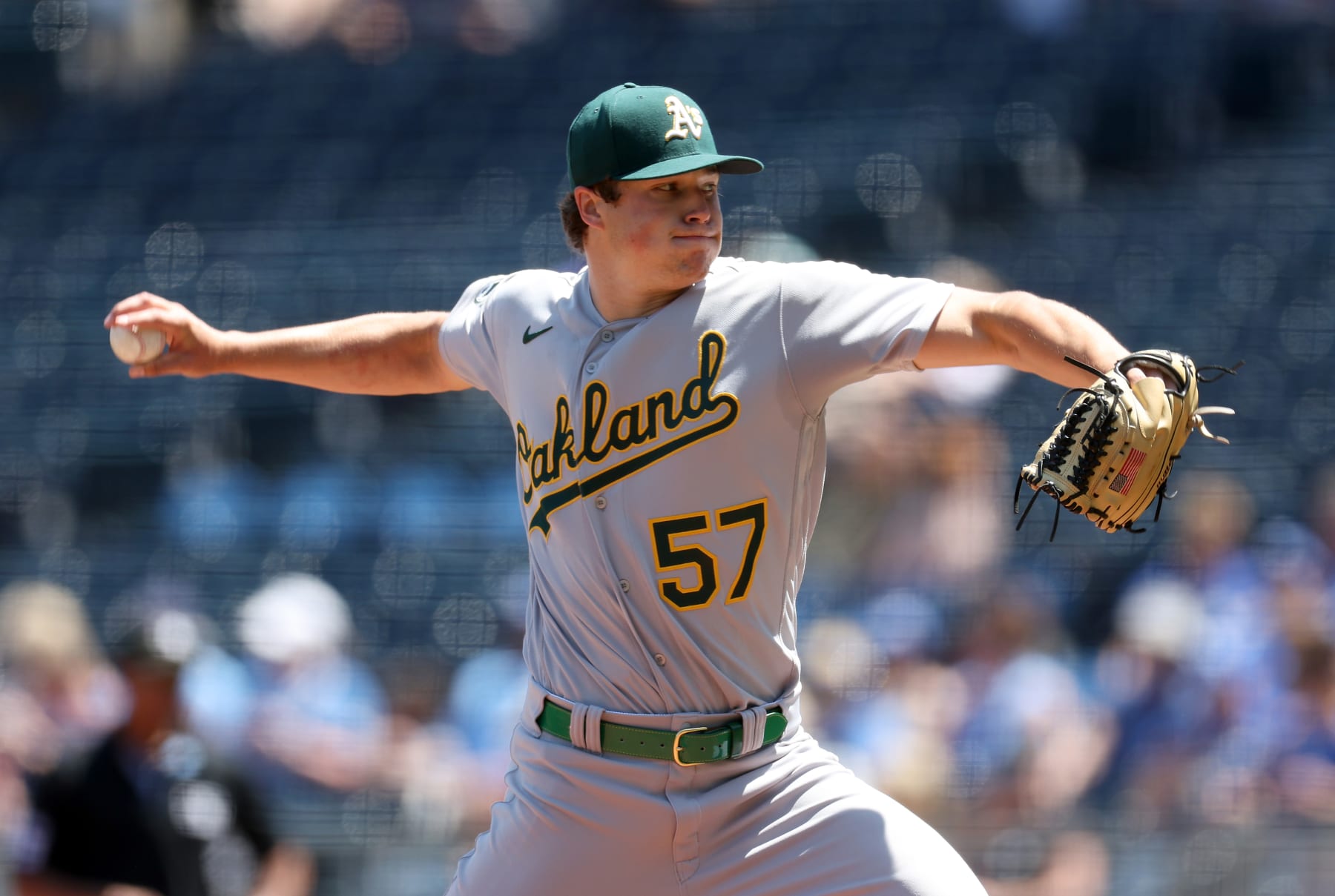 Early 2023 Returns From the A's Farm