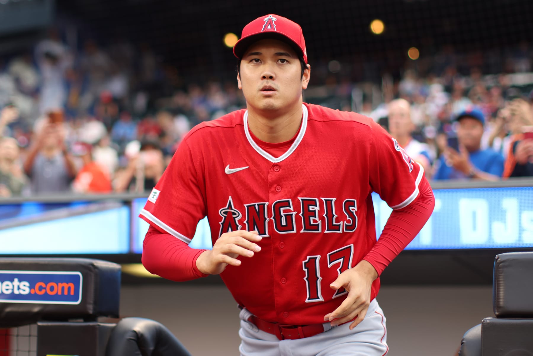 Angels' playoff hopes take drastic turn after injuries to Shohei