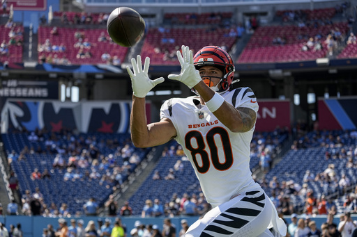 Cincinnati Bengals, National Football League, News, Scores, Highlights,  Injuries, Stats, Standings, and Rumors