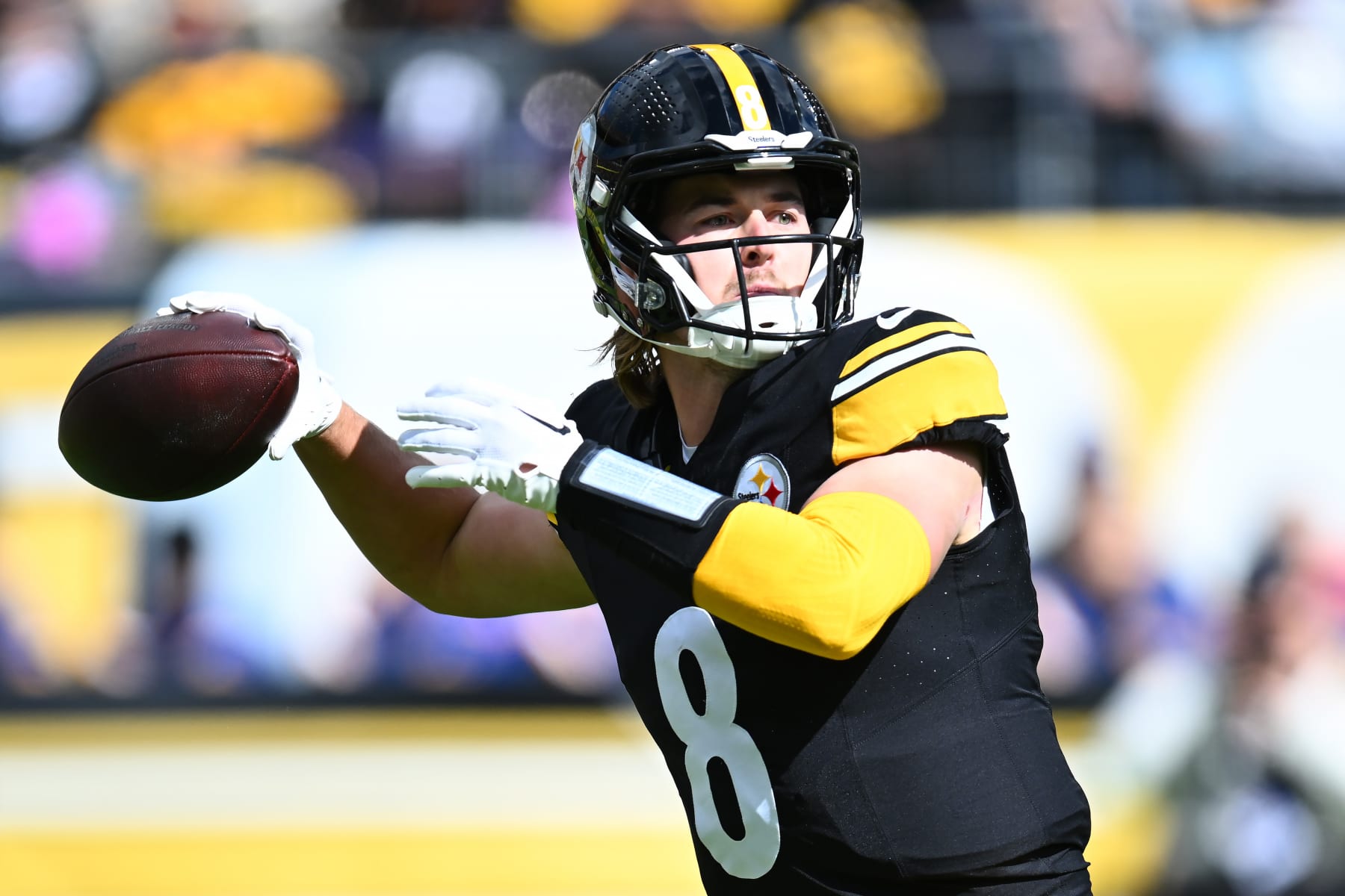 Ravens vs. Steelers 2016 final score: Pittsburgh pulls out comeback victory  to clinch AFC North 