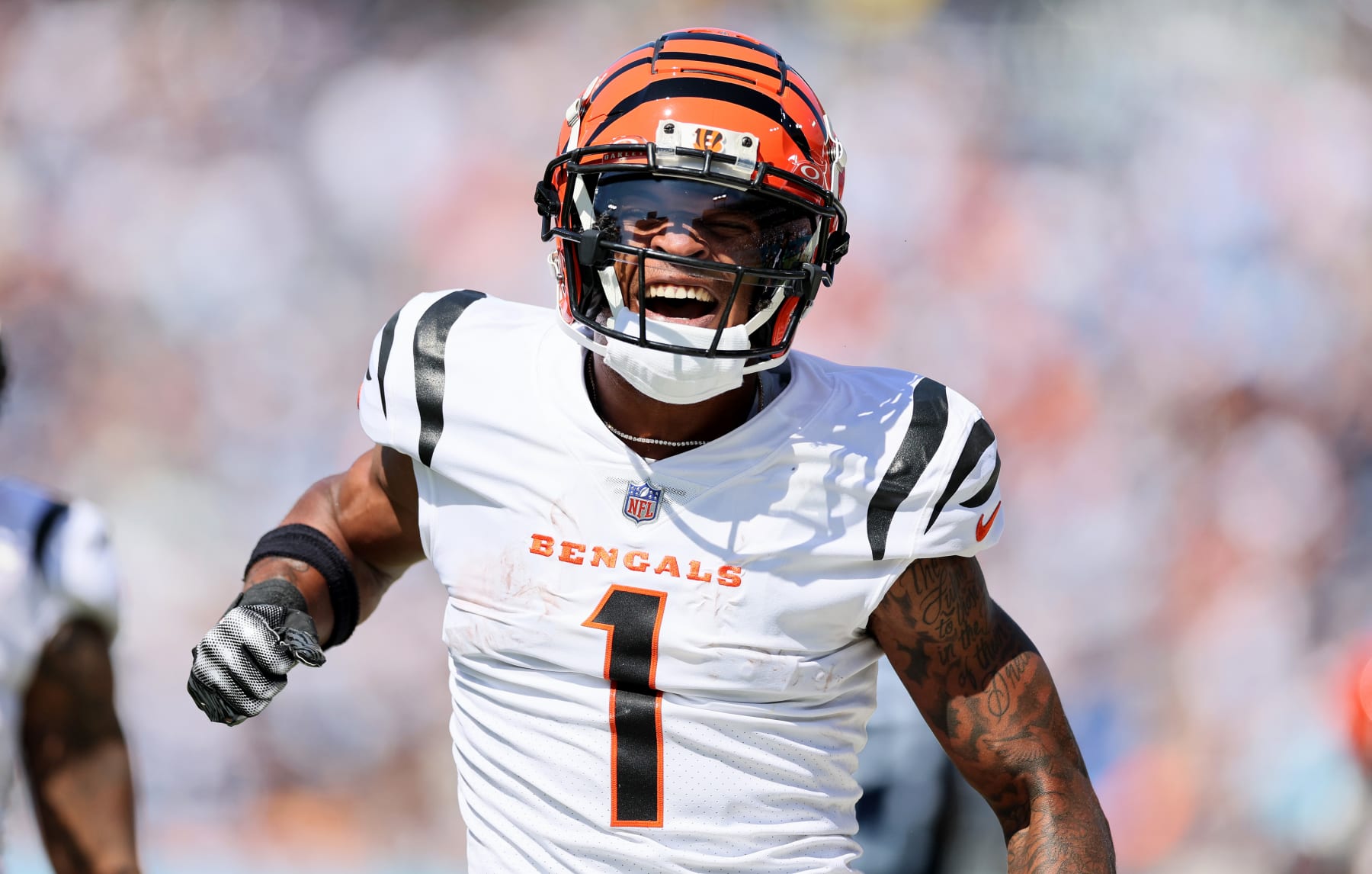 Game Recap: Bears dominate Bengals, win 33-7