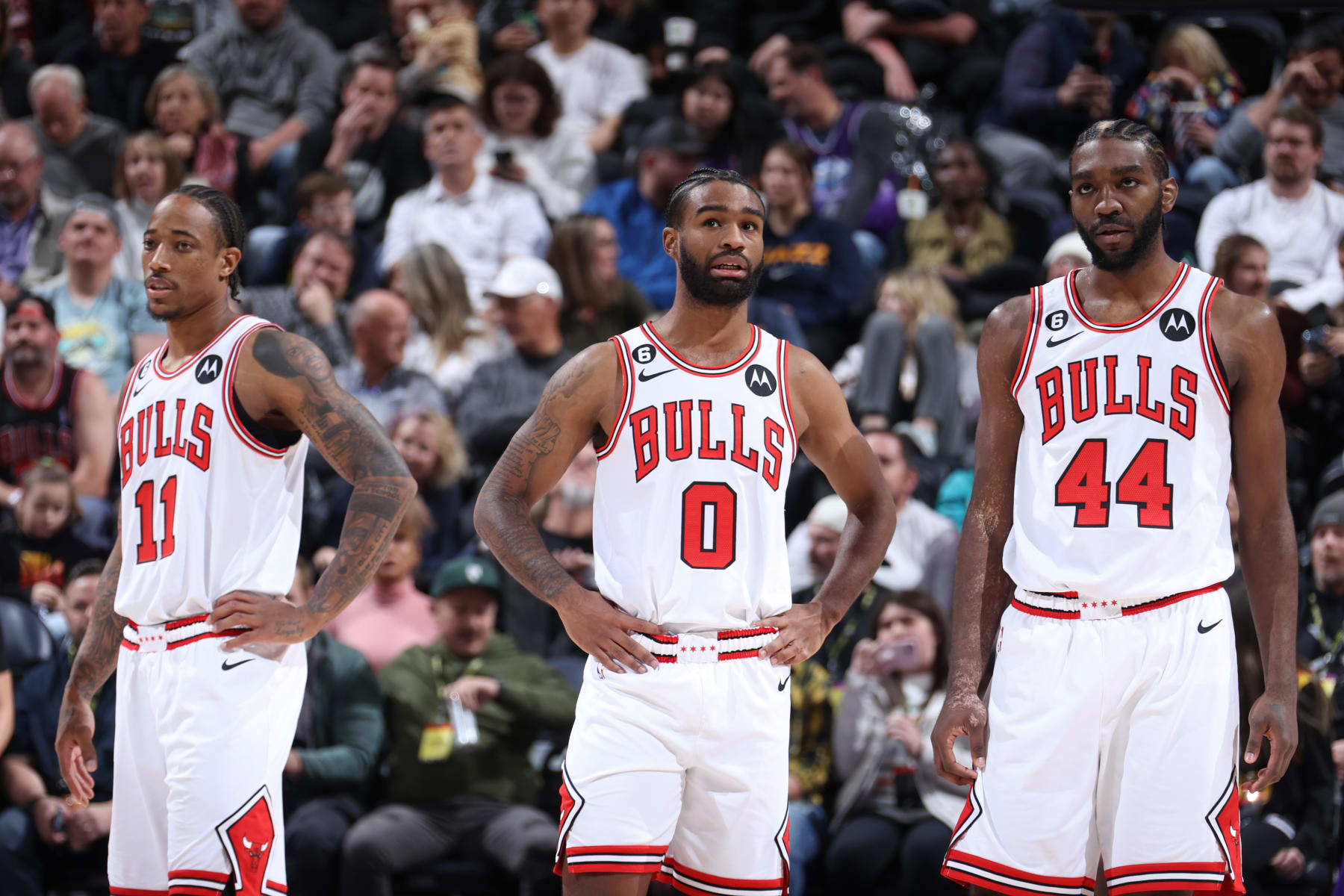 Anholdelse kom videre Resten Predicting Bulls' Breakout Players for 2023-24 NBA Season | News, Scores,  Highlights, Stats, and Rumors | Bleacher Report