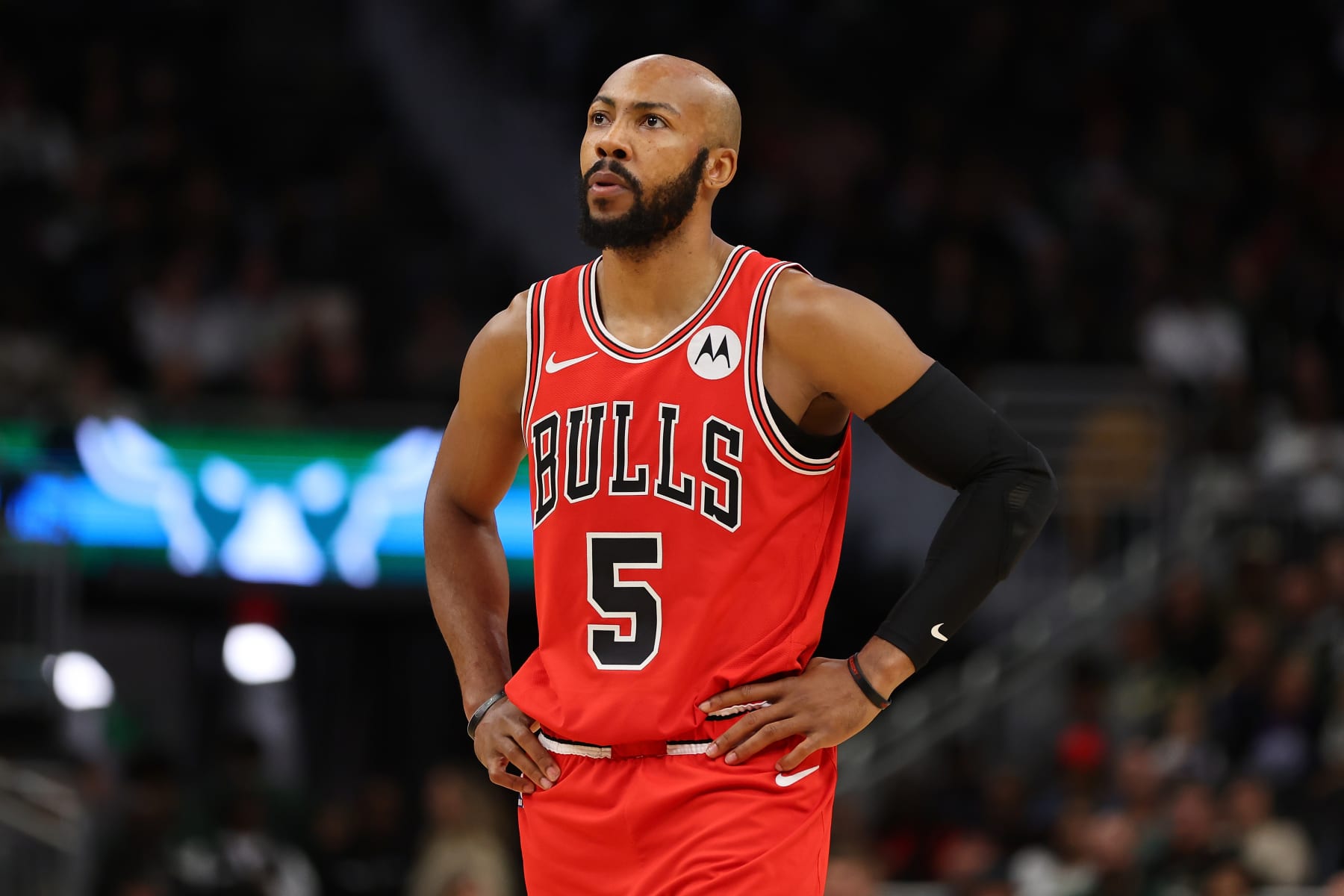 Previewing the 2023-24 Chicago Bulls ahead of Preseason