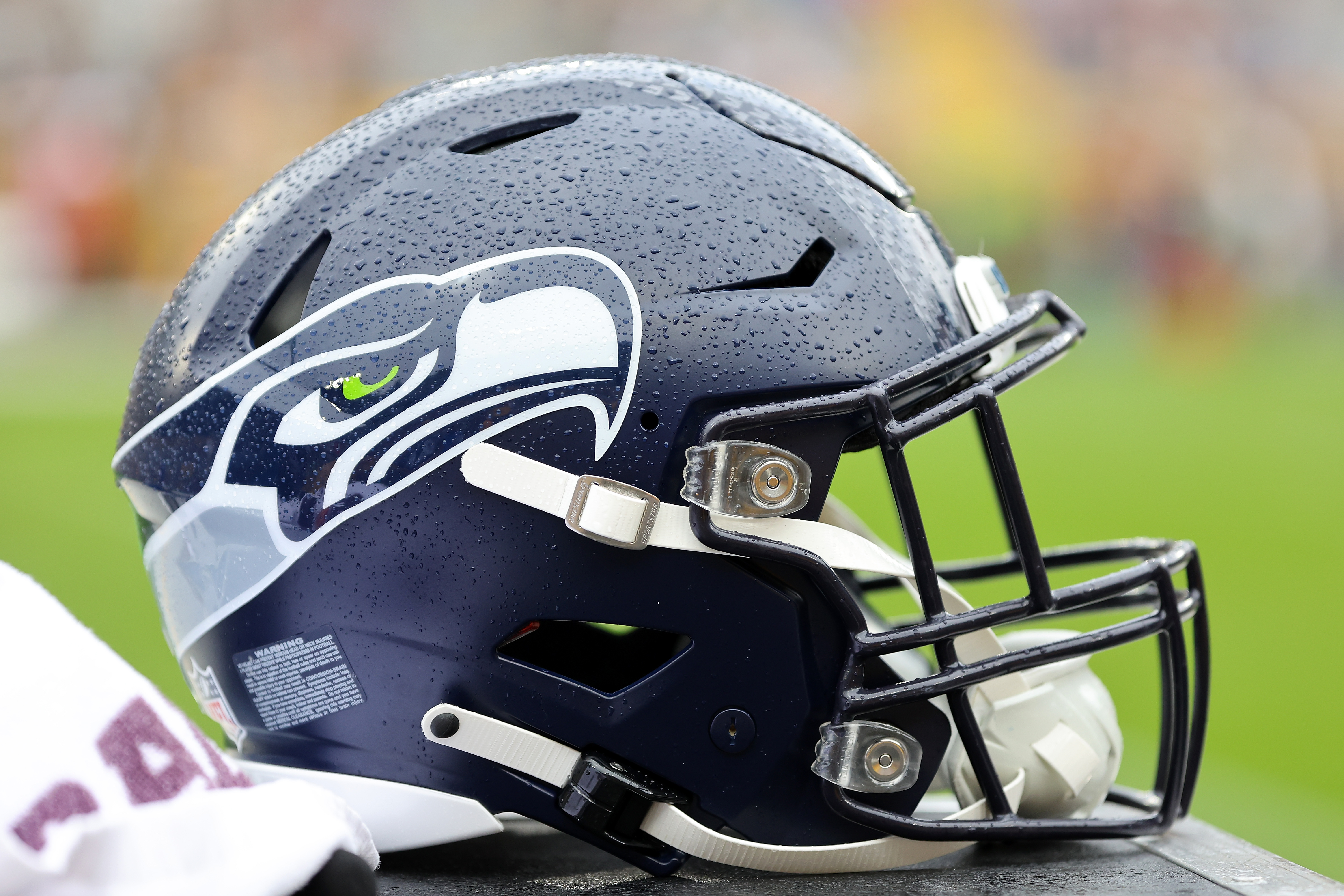 Seahawks vs. Rams Week 13: News, injury updates, odds, previews, recap -  Field Gulls