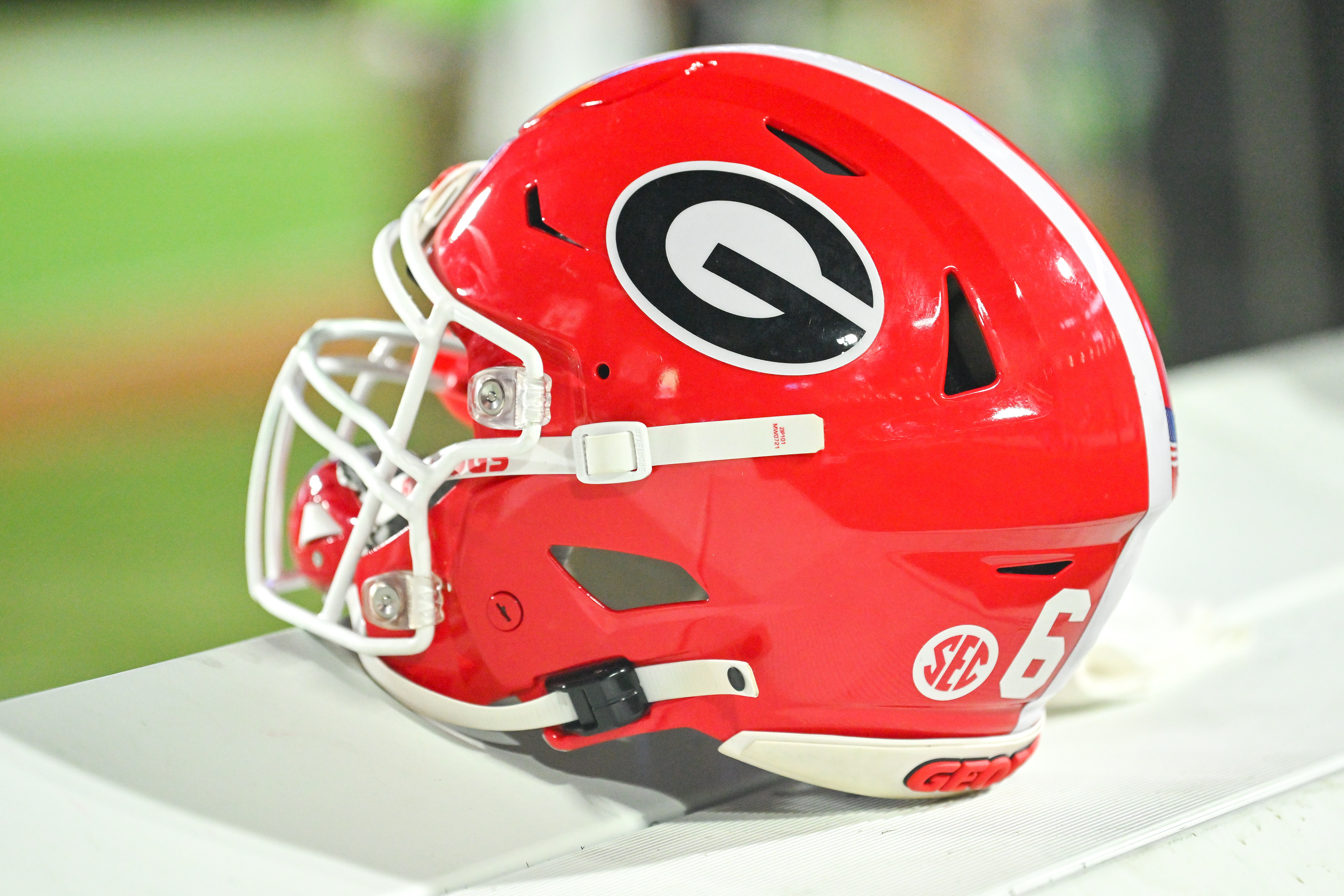 Georgia Bulldogs - The Road to Omaha will begin in Athens! Georgia