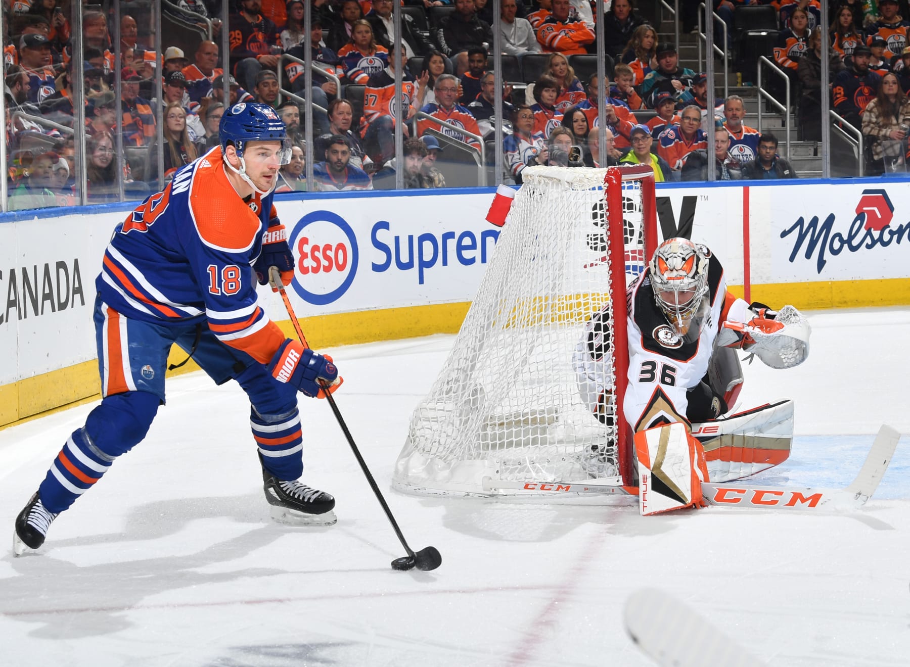 EDMONTON, CANADA - APRIL 01: Zach Hyman #18 of the Edmonton Oilers skates during the game against the Anaheim Ducks on April 1, 2023 at Rogers Place in Edmonton, Alberta, Canada. (Photo by Andy Devlin/NHLI via Getty Images)