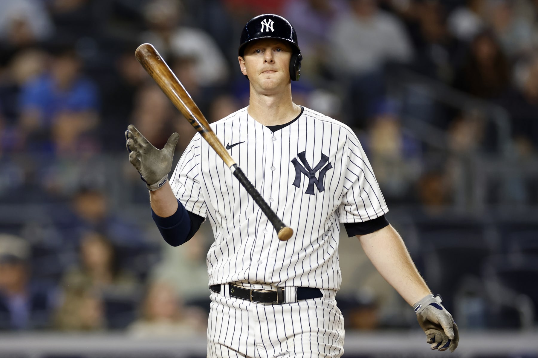 DJ LeMahieu