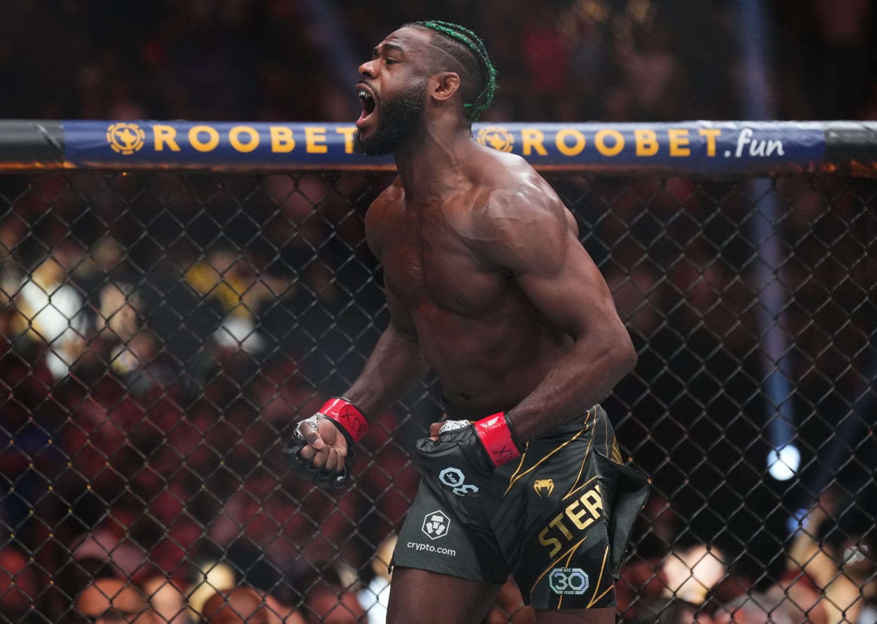Aljamain Sterling