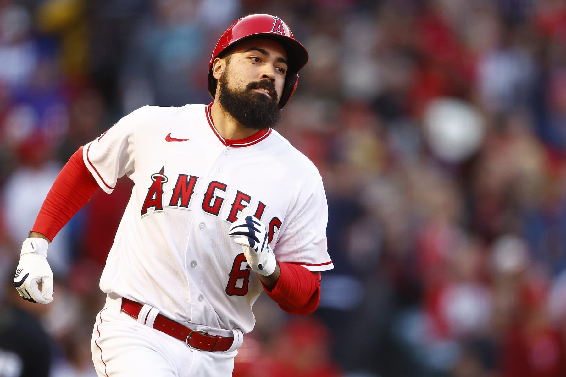 Anthony Rendon