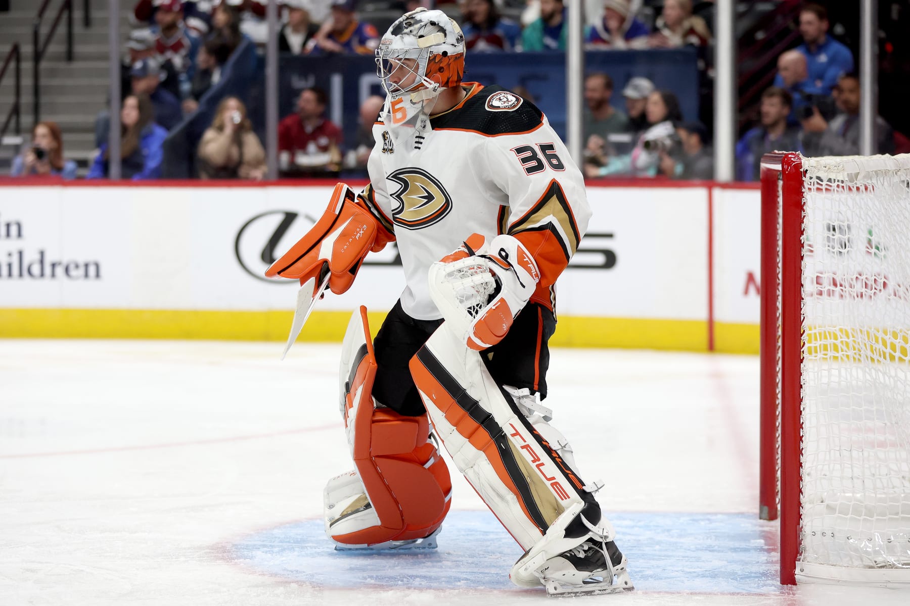 DENVER, COLORADO - DECEMBER 05: John Gibson #36 of the Anaheim Ducks tends goal against the Colorado Avalanche in the second period at Ball Arena on December 05, 2023 in Denver, Colorado. (Photo by Matthew Stockman/Getty Images)