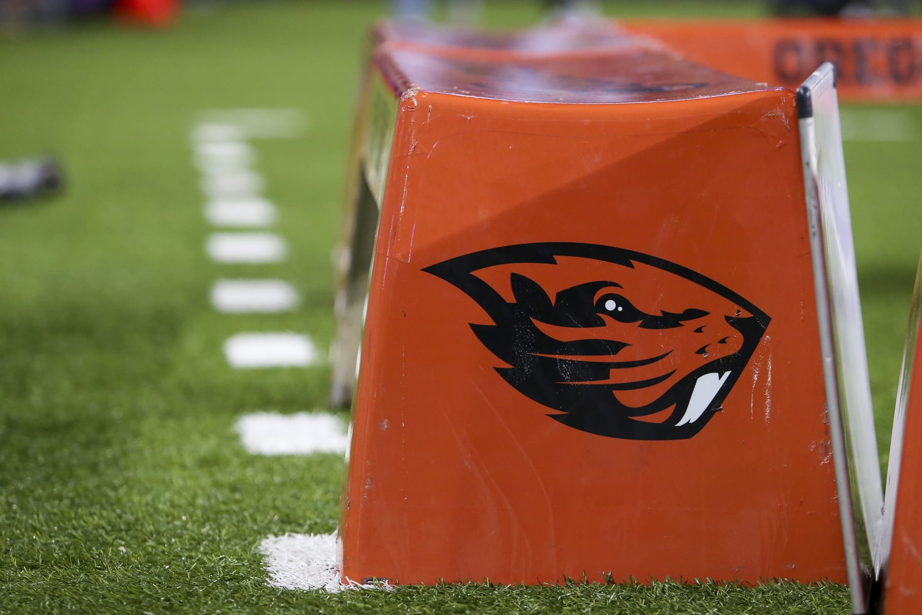 SEATTLE, WA - NOVEMBER 04: Oregon State Beavers logo on a bench during a college football game between the Oregon State Beavers and the Washington Huskies on November 04, 2022, at Husky Stadium in Seattle, WA. (Photo by Jacob Snow/Icon Sportswire via Getty Images)