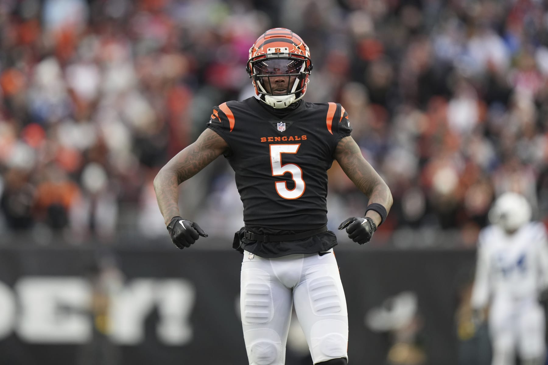Cincinnati Bengals wide receiver Tee Higgins (5) celebrate after a first down catch during an NFL football game against the Indianapolis Colts, Sunday, Dec. 10, 2023, in Cincinnati, OH. (AP Photo/Peter Joneleit)