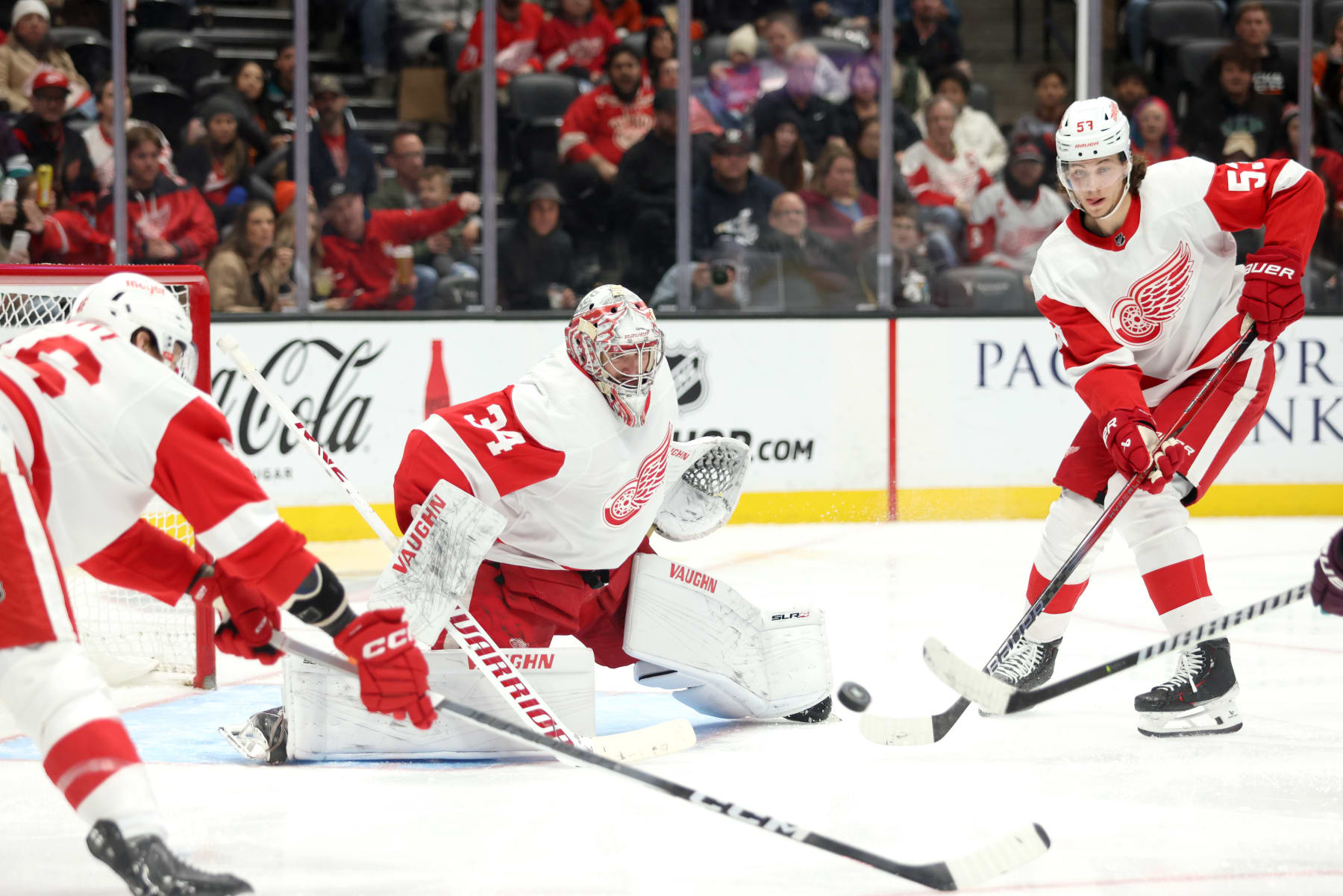 ANAHEIM, CALIFORNIA - JANUARY 07: Alex Lyon #34 of the Detroit Red Wings defends the net in the second period during the game against the Anaheim Ducks at Honda Center on January 07, 2024 in Anaheim, California. (Photo by Nicole Vasquez/NHLI via Getty Images)