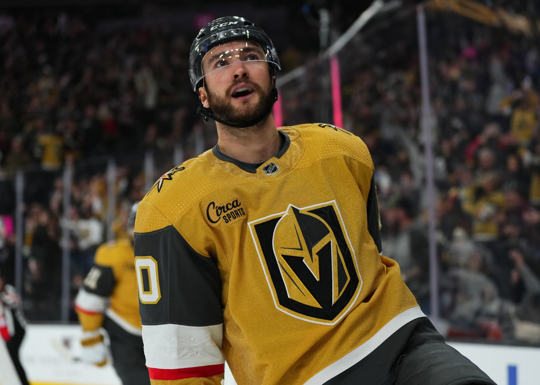 LAS VEGAS, NEVADA - JANUARY 06: Nicolas Roy #10 of the Vegas Golden Knights celebrates after a goal during the third period against the New York Islanders at T-Mobile Arena on January 06, 2024 in Las Vegas, Nevada. (Photo by Jeff Bottari/NHLI via Getty Images)
