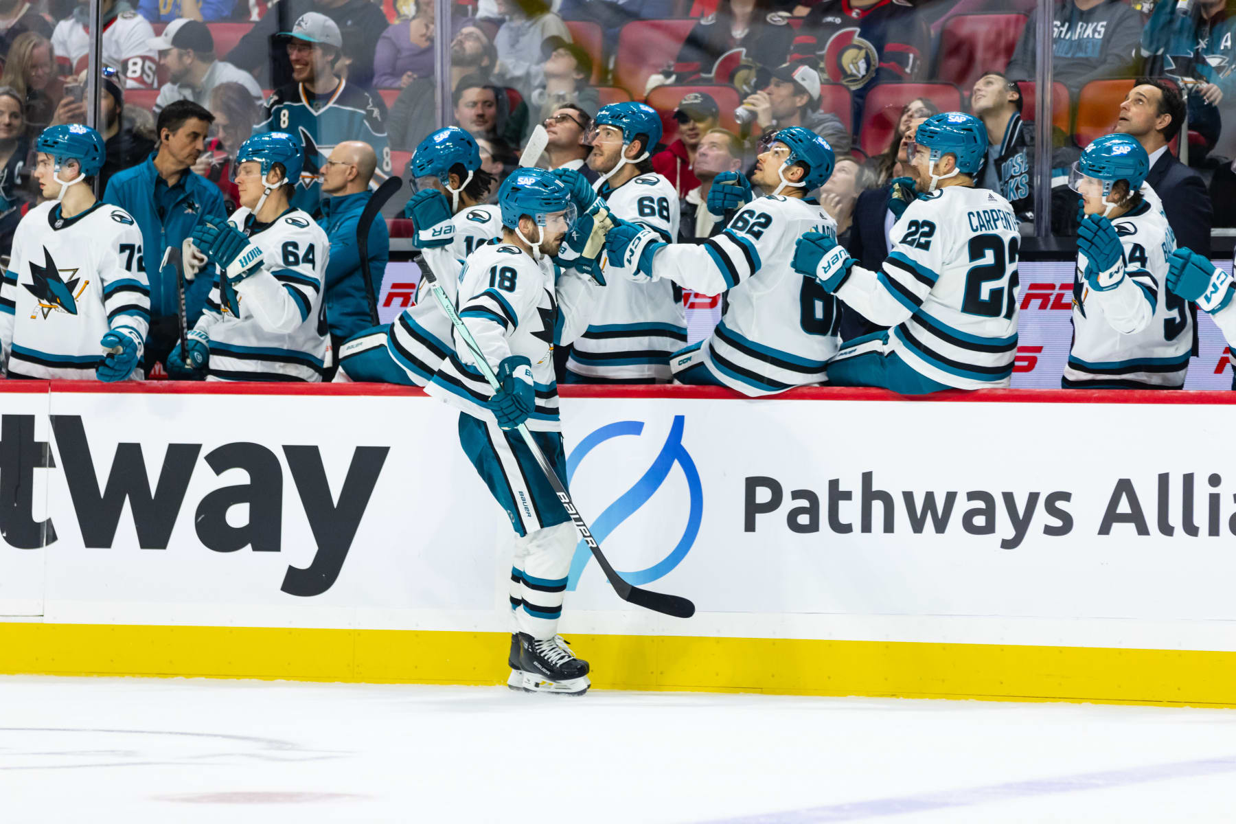 OTTAWA, ON - JANUARY 13: San Jose Sharks Winger Filip Zadina (18) skates by the bench to celebrate his goal during third period National Hockey League action between the San Jose Sharks and Ottawa Senators on January 13, 2024, at Canadian Tire Centre in Ottawa, ON, Canada. (Photo by Richard A. Whittaker/Icon Sportswire via Getty Images)