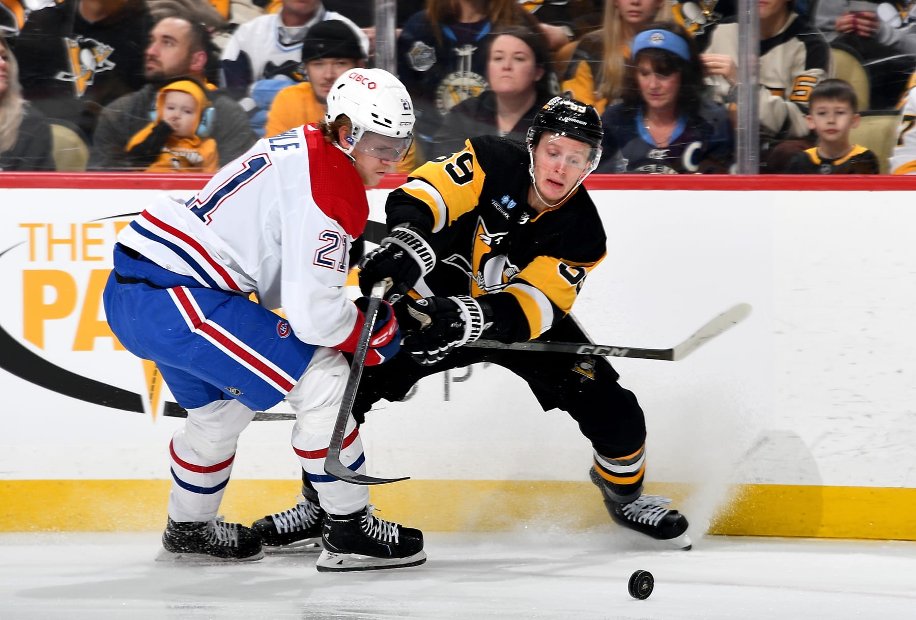 PITTSBURGH, PA - JANUARY 27: Jake Guentzel #59 of the Pittsburgh Penguins battles against Kaiden Guhle #21 of the Montreal Canadiens at PPG PAINTS Arena on January 27, 2024 in Pittsburgh, Pennsylvania. (Photo by Joe Sargent/NHLI via Getty Images)