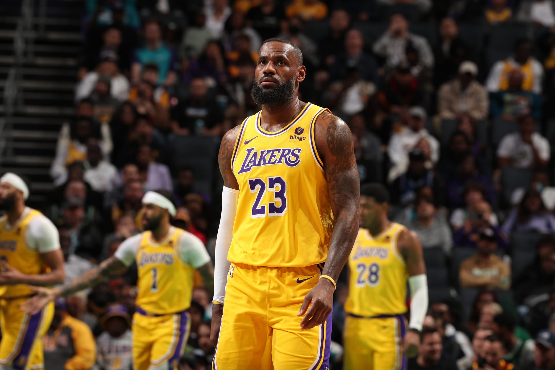 CHARLOTTE, NC - FEBRUARY 5: LeBron James #23 of the Los Angeles Lakers looks on during the game against the Charlotte Hornets on February 5, 2024 at Spectrum Center in Charlotte, North Carolina. NOTE TO USER: User expressly acknowledges and agrees that, by downloading and or using this photograph, User is consenting to the terms and conditions of the Getty Images License Agreement. Mandatory Copyright Notice: Copyright 2024 NBAE (Photo by Kent Smith/NBAE via Getty Images)