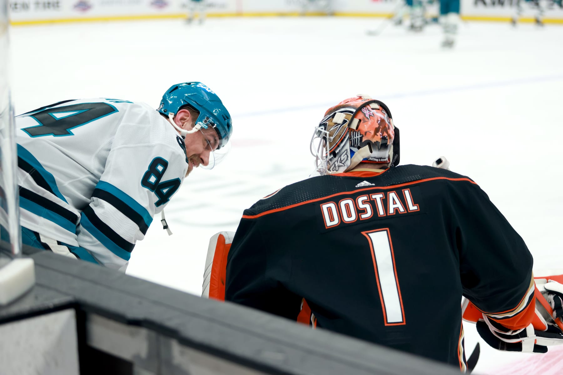 ANAHEIM, CALIFORNIA - JANUARY 31: Jan Rutta #84 of the San Jose Sharks talks to Lukas Dostal #1 of the Anaheim Ducks at warmups before the game at Honda Center on January 31, 2024 in Anaheim, California. (Photo by Nicole Vasquez/NHLI via Getty Images)