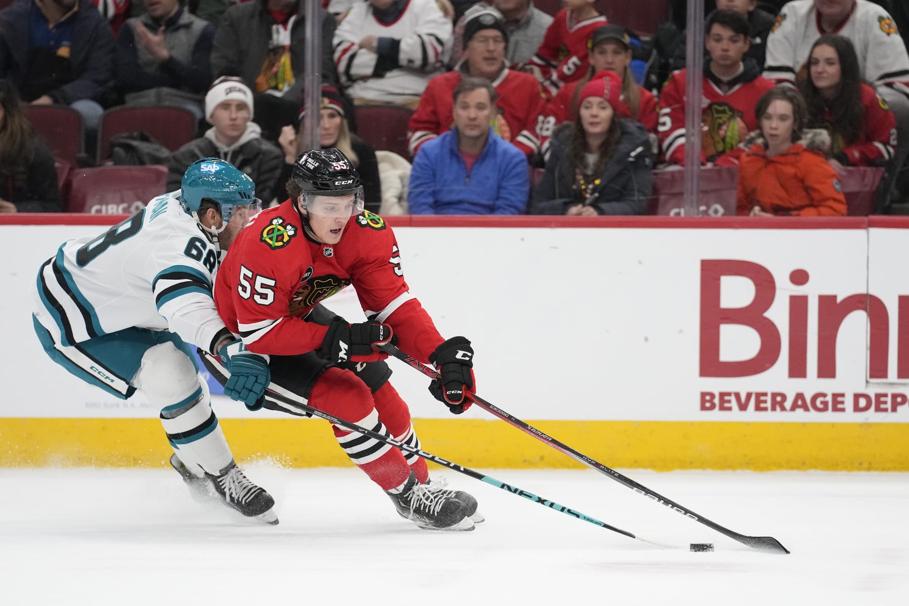 CHICAGO, ILLINOIS - JANUARY 16: Kevin Korchinski #55 of the Chicago Blackhawks skates with the puck against Mike Hoffman #68 of the San Jose Sharks during the first period at the United Center on January 16, 2024 in Chicago, Illinois. (Photo by Patrick McDermott/Getty Images)