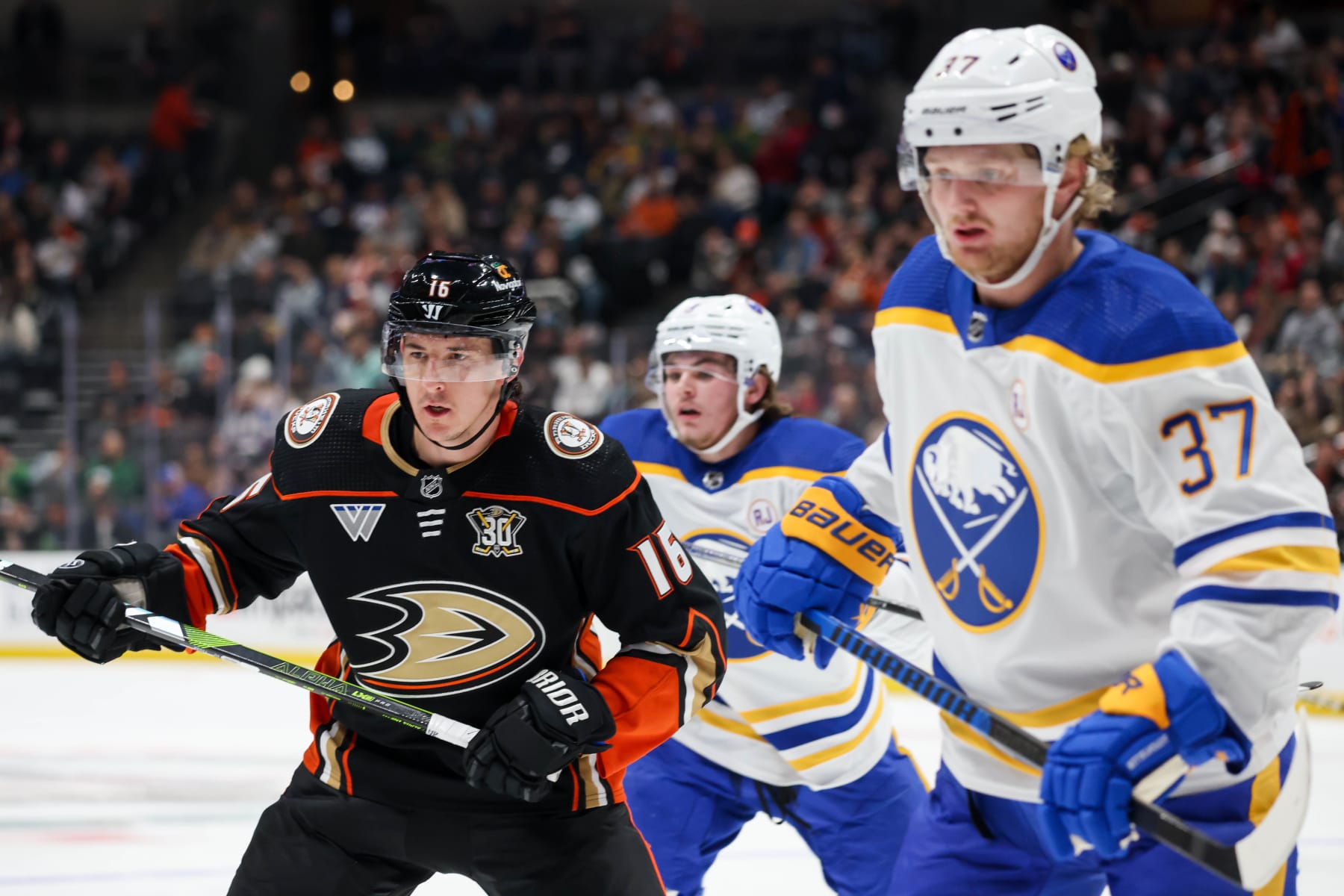 ANAHEIM, CA - JANUARY 23: Ryan Strome #16 of the Anaheim Ducks and Casey Mittelstadt #37 of the Buffalo Sabres battle for position during the first period at Honda Center on January 23, 2024 in Anaheim, California. (Photo by Debora Robinson/NHLI via Getty Images)