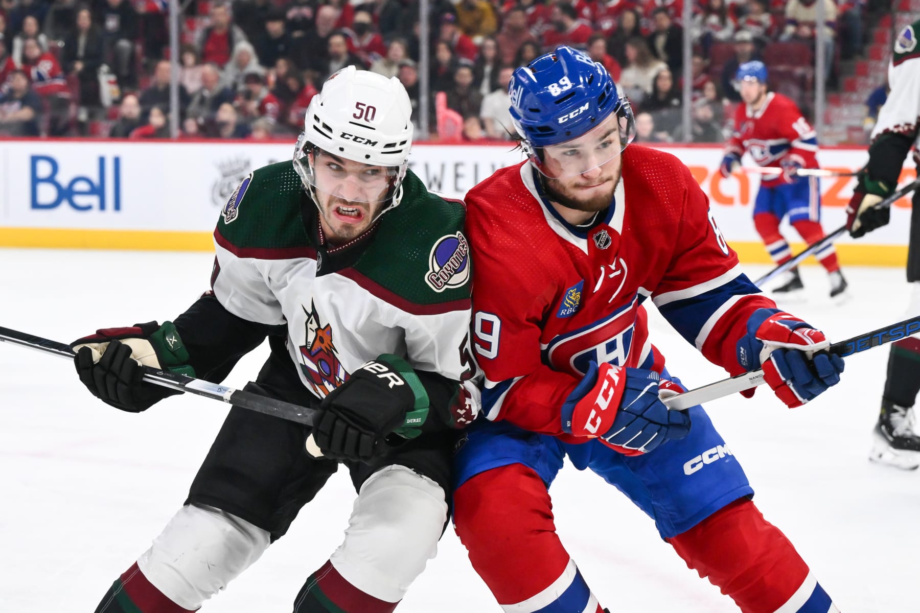MONTREAL, CANADA - FEBRUARY 27: Sean Durzi #50 of the Arizona Coyotes and Joshua Roy #89 of the Montreal Canadiens skate against each other during the second period at the Bell Centre on February 27, 2024 in Montreal, Quebec, Canada. (Photo by Minas Panagiotakis/Getty Images)