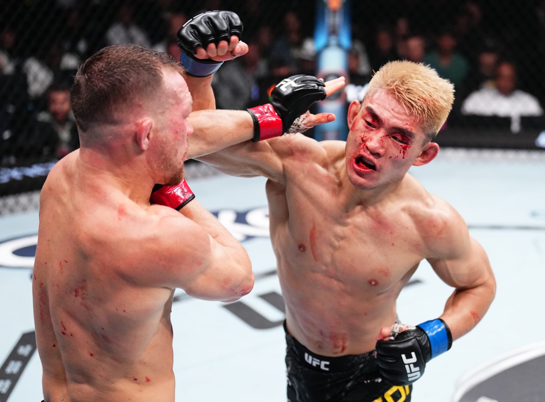 UFC 299 Results & Highlights: Sean O'Malley Dominates Chito Vera - Sports  Illustrated MMA News, Analysis and More