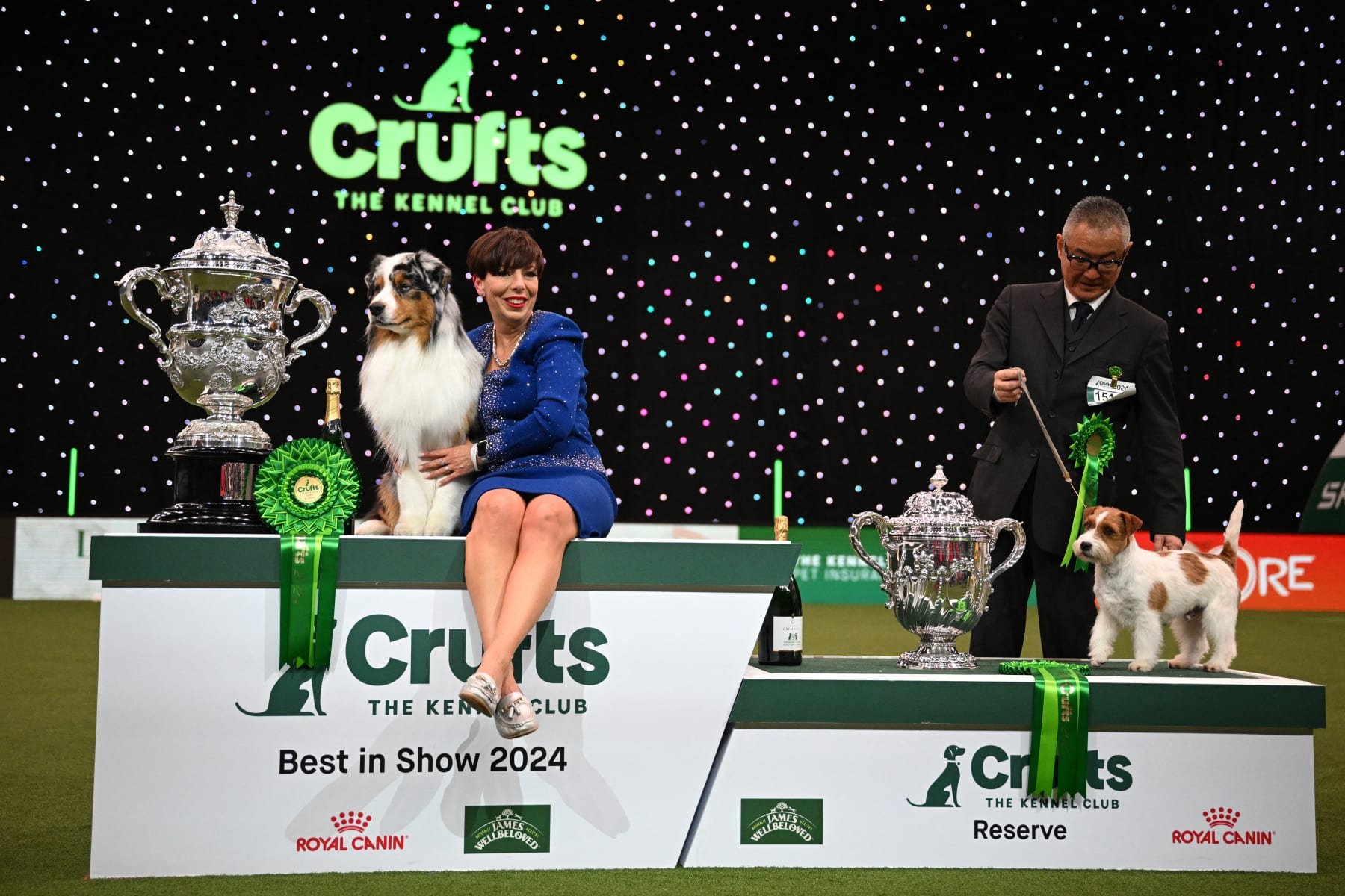 which dog won best in show at crufts 2019