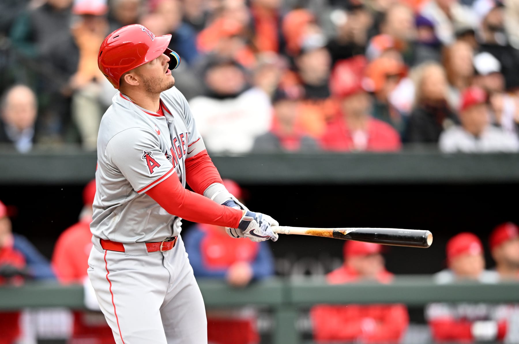 Mike Trout