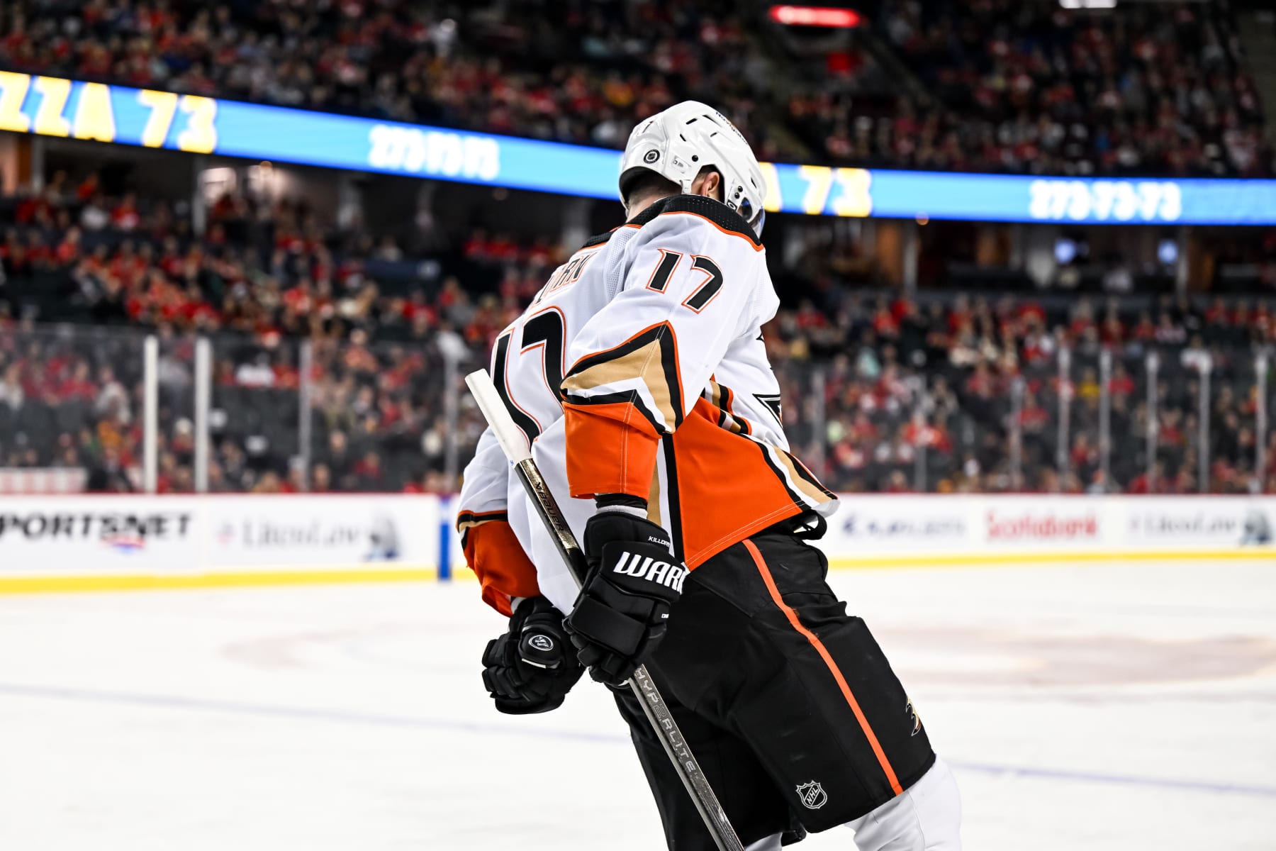 CALGARY, AB - APRIL 02: Anaheim Ducks Left Wing Alex Killorn (17) celebrates after scoring a goal during the third period of an NHL game between the Calgary Flames and the Anaheim Ducks on April 2, 2024, at the Scotiabank Saddledome in Calgary, AB. (Photo by Brett Holmes/Icon Sportswire via Getty Images)