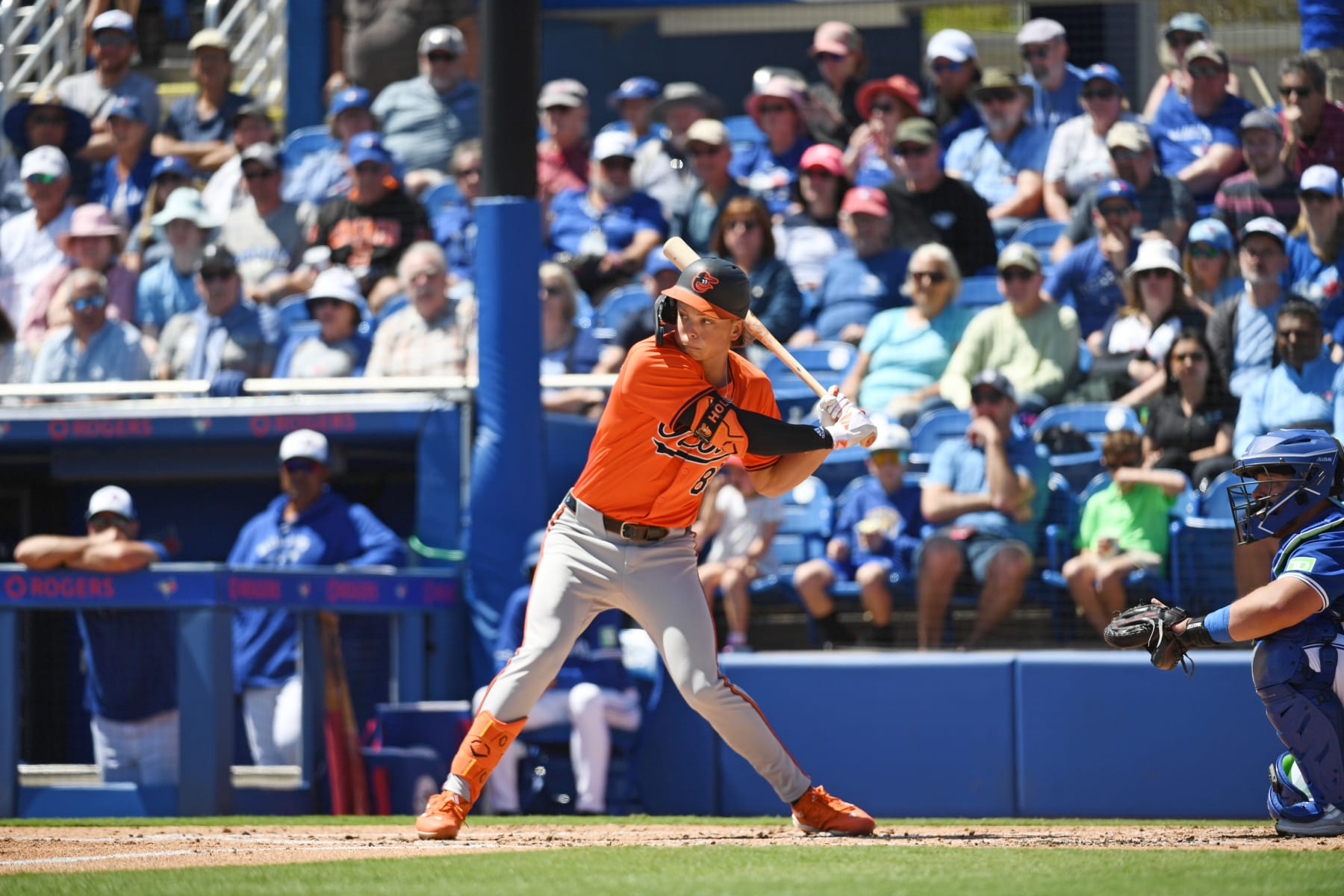 DUNEDIN, FLORIDA - MARCH 19, 2024: Jackson Holliday #87 of the Baltimore Orioles bats during the second inning of a spring training game against the Toronto Blue Jays at TD Ballpark on March 19, 2024 in Dunedin, Florida. (Photo by George Kubas/Diamond Images via Getty Images)
