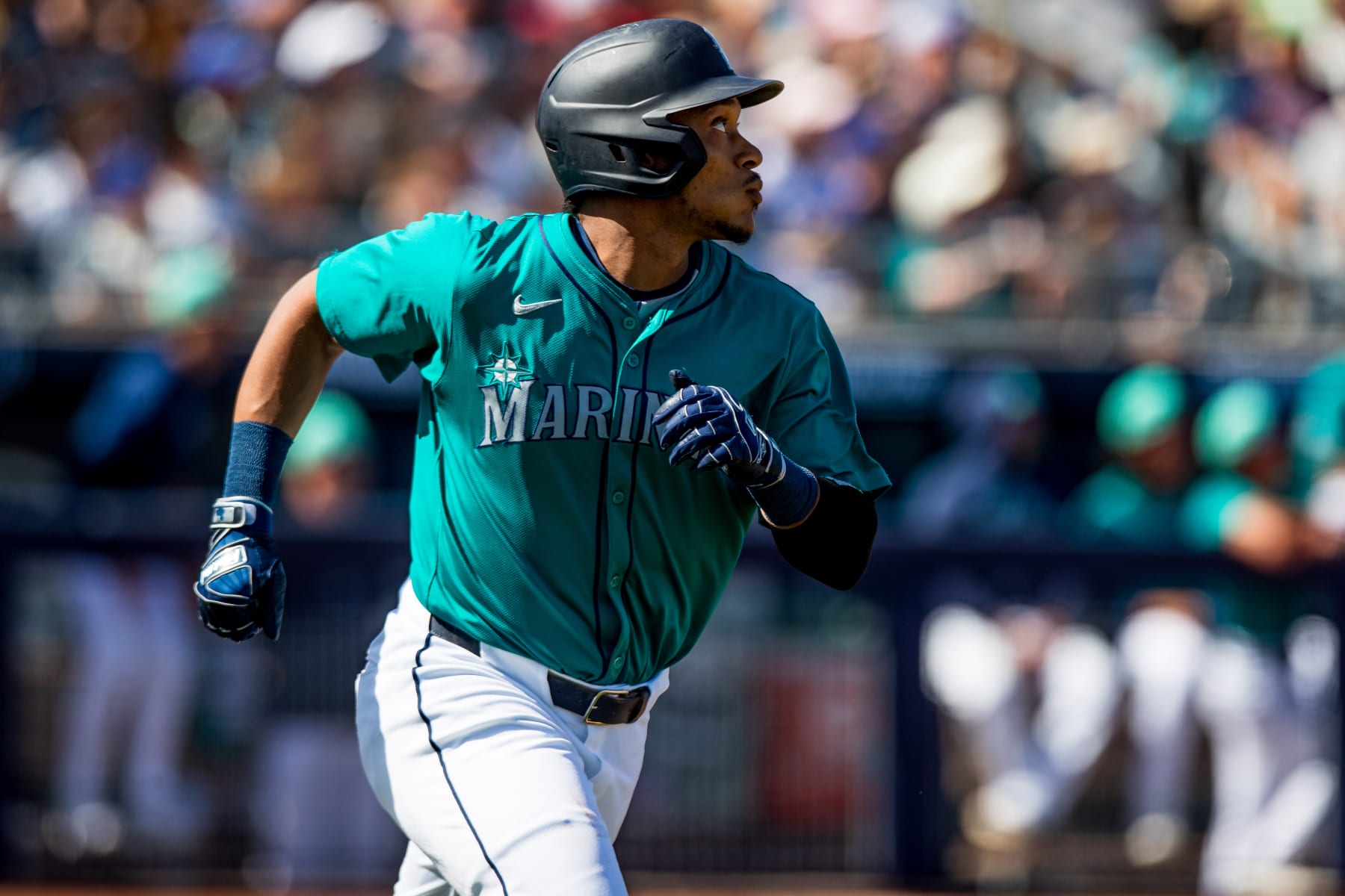 Jorge Polanco