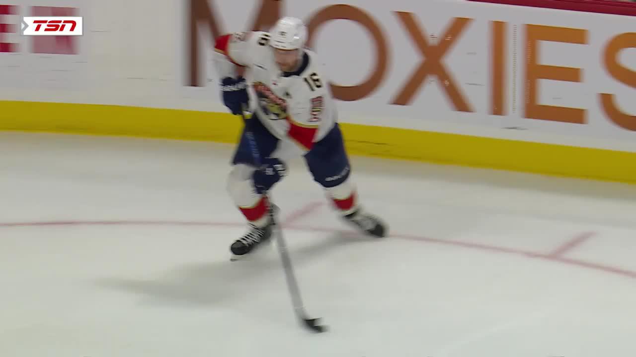 Florida Panthers | National Hockey League, News, Scores, Highlights ...