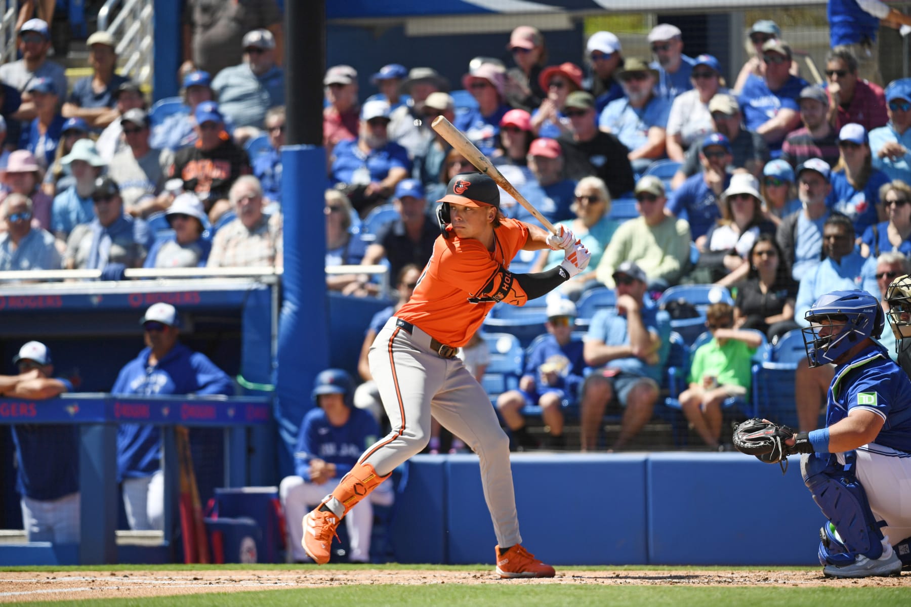 DUNEDIN, FLORIDA - MARCH 19, 2024: Jackson Holliday #87 of the Baltimore Orioles bats during the second inning of a spring training game against the Toronto Blue Jays at TD Ballpark on March 19, 2024 in Dunedin, Florida. (Photo by George Kubas/Diamond Images via Getty Images)