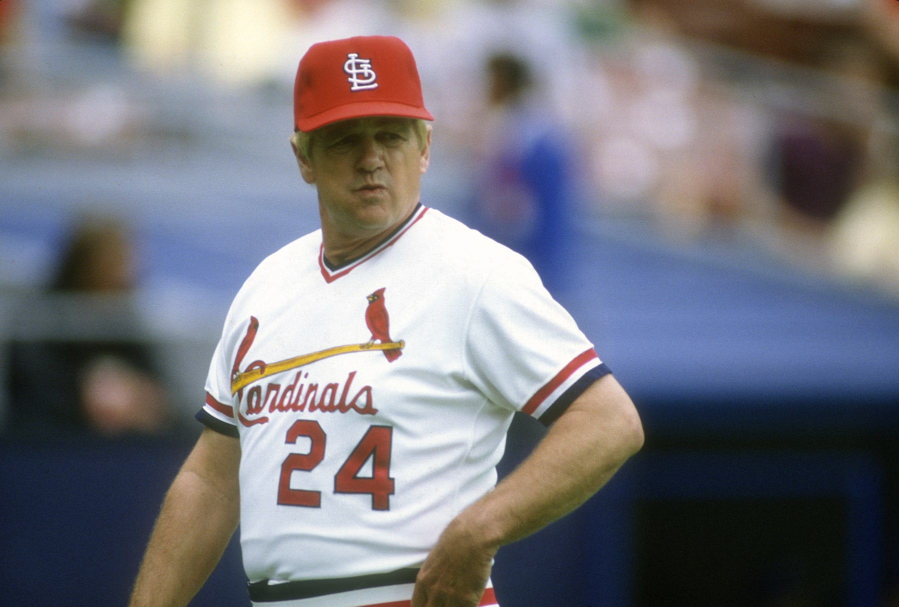 ST LOUIS, MO - CIRCA 1984: Manager Whitey Herzog #24 of the St. Louis Cardinals looks on walking back to the dugout during a Major League Baseball game circa 1984 at Busch Stadium in St Louis, Missouri. Herzog Managed the Cardinals from 1980-90. (Photo by Focus on Sport/Getty Images)